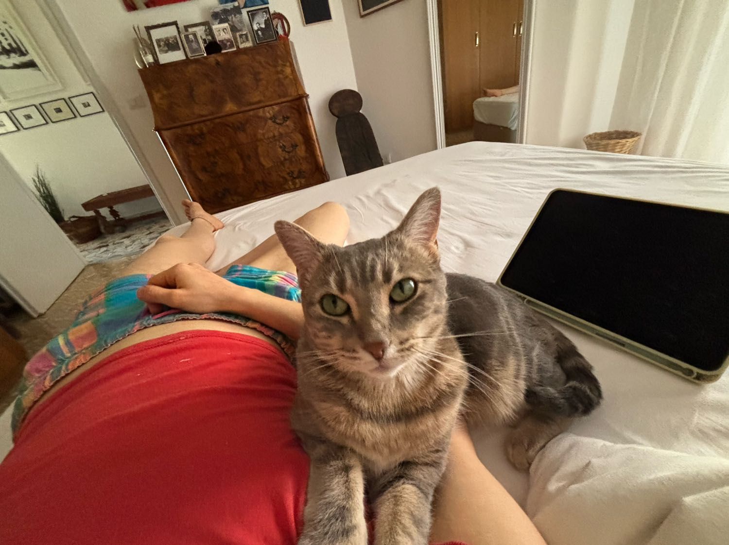 image-5