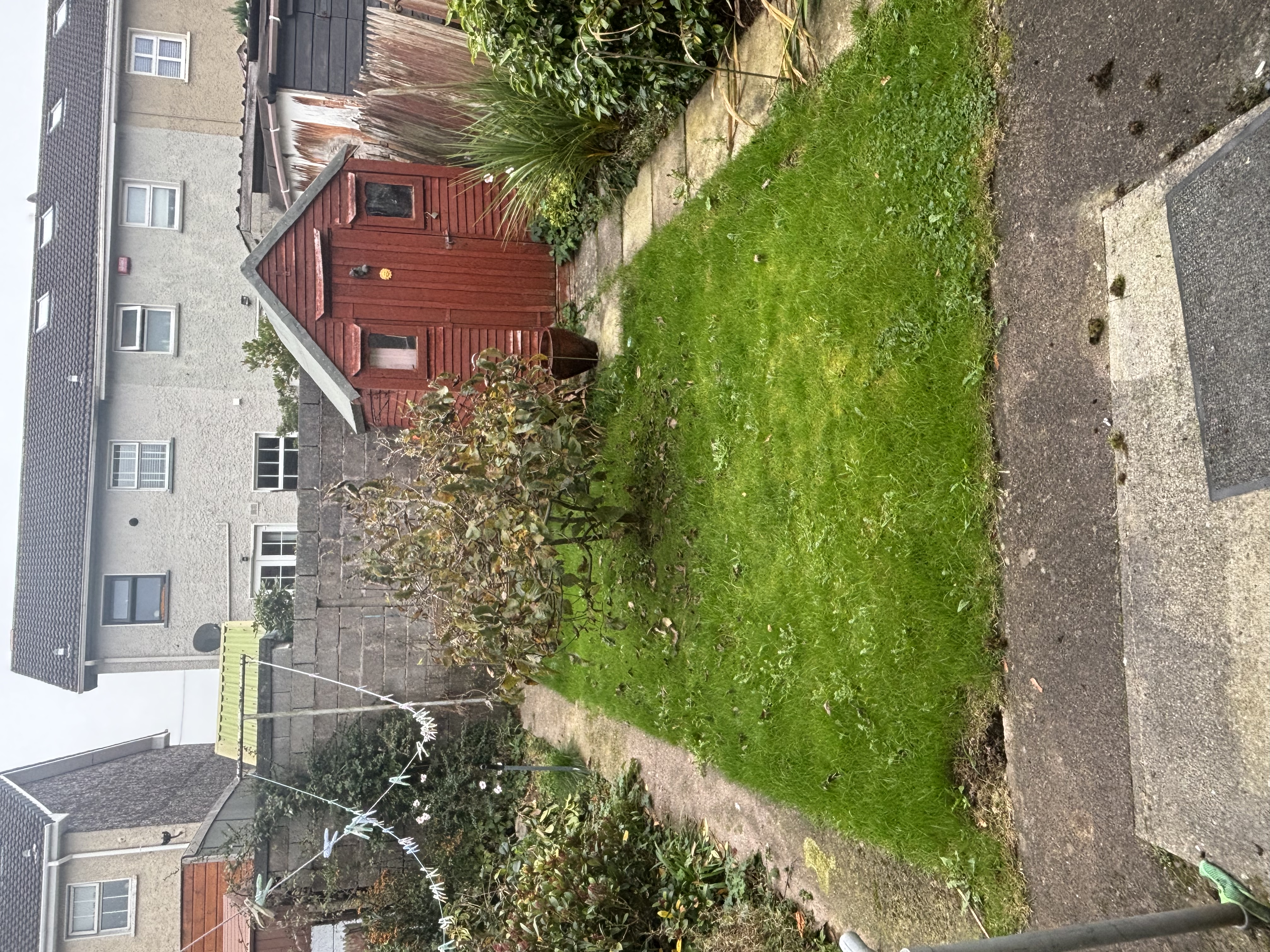 image-20