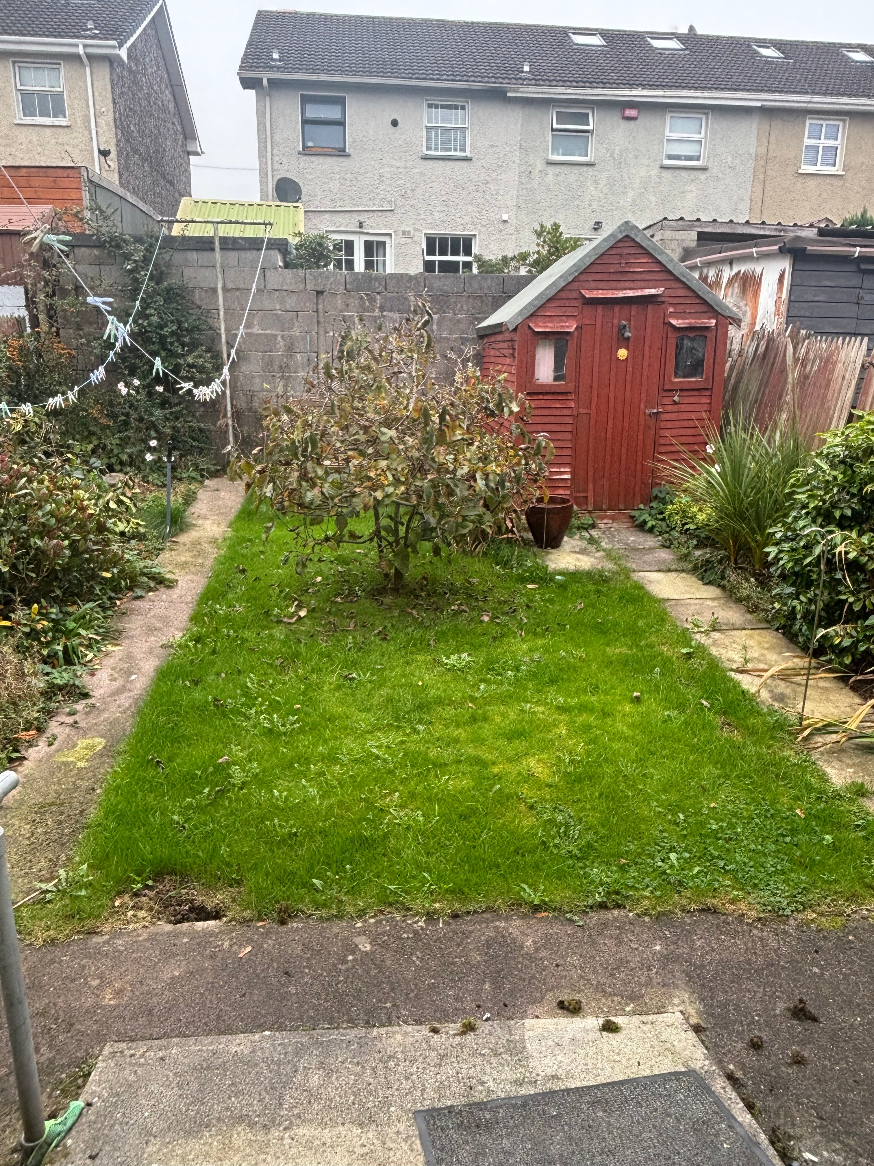 image-20