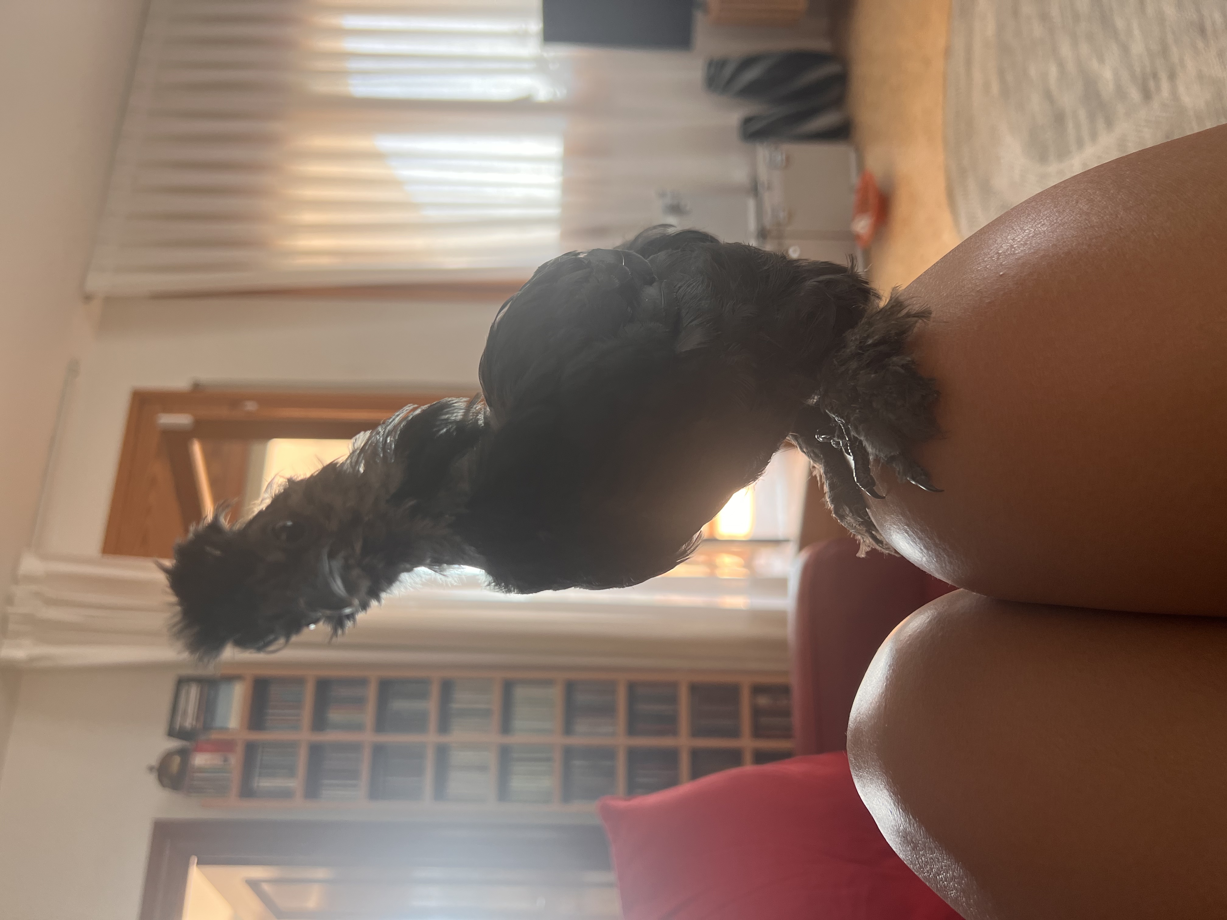 image-4