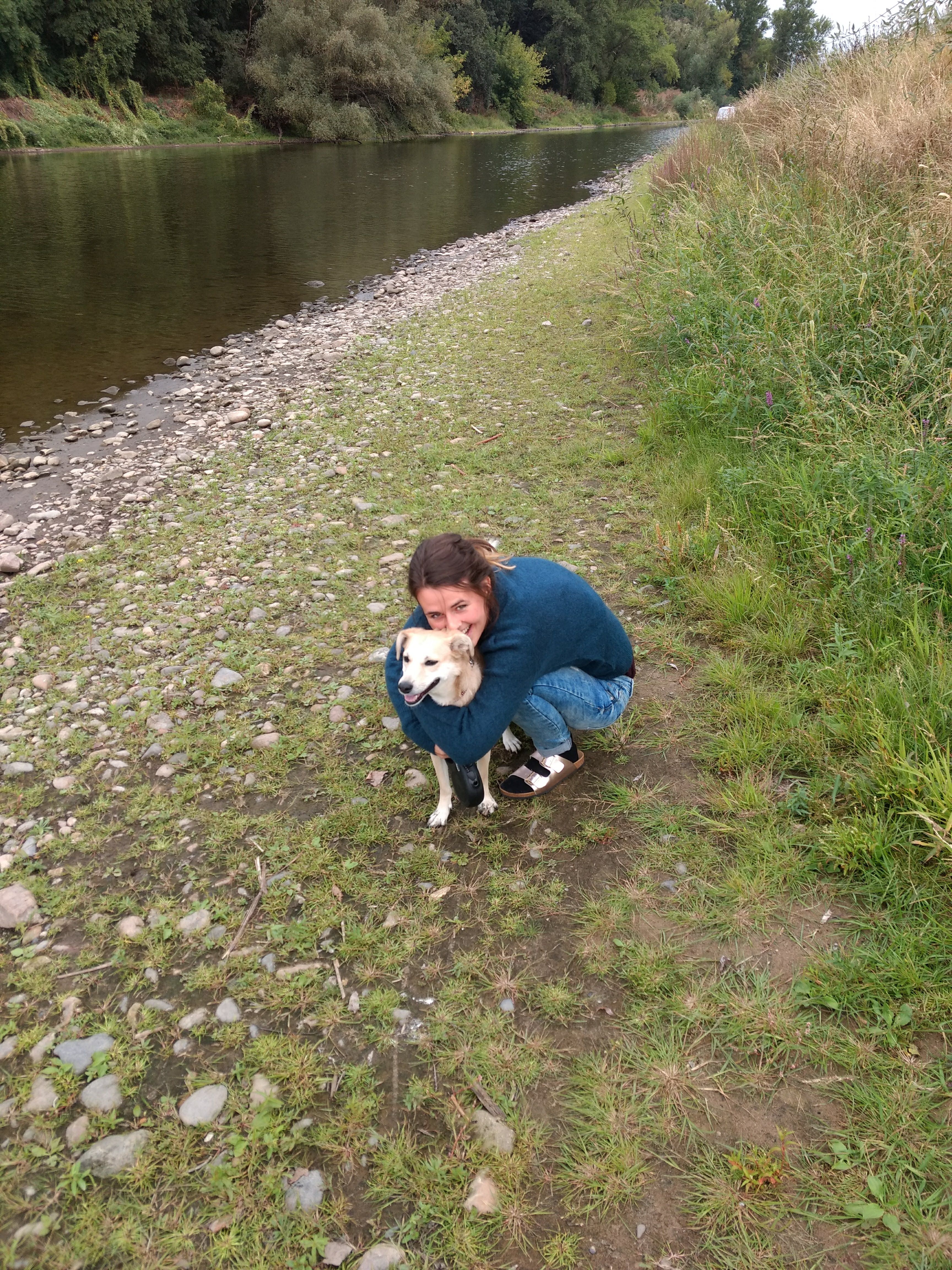 image-2