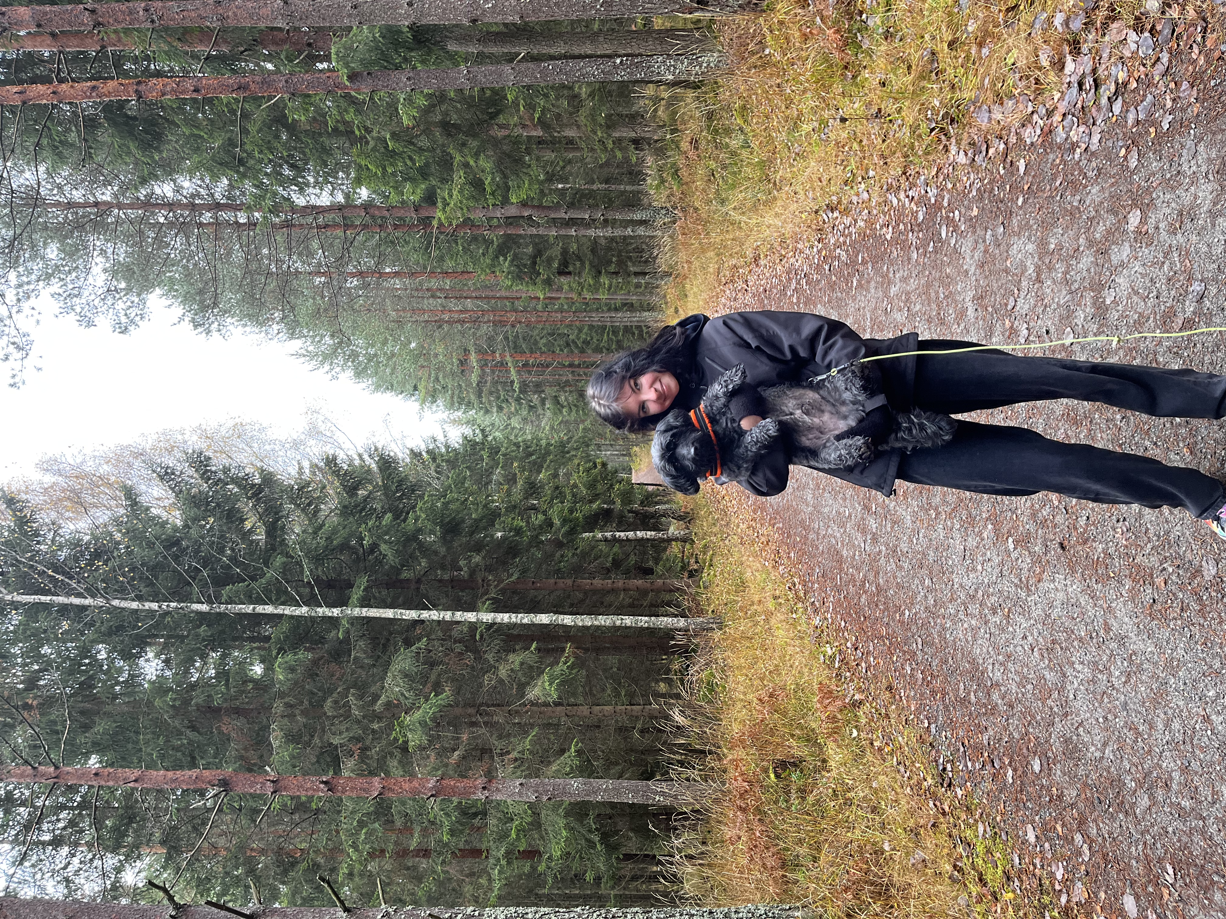 image-5
