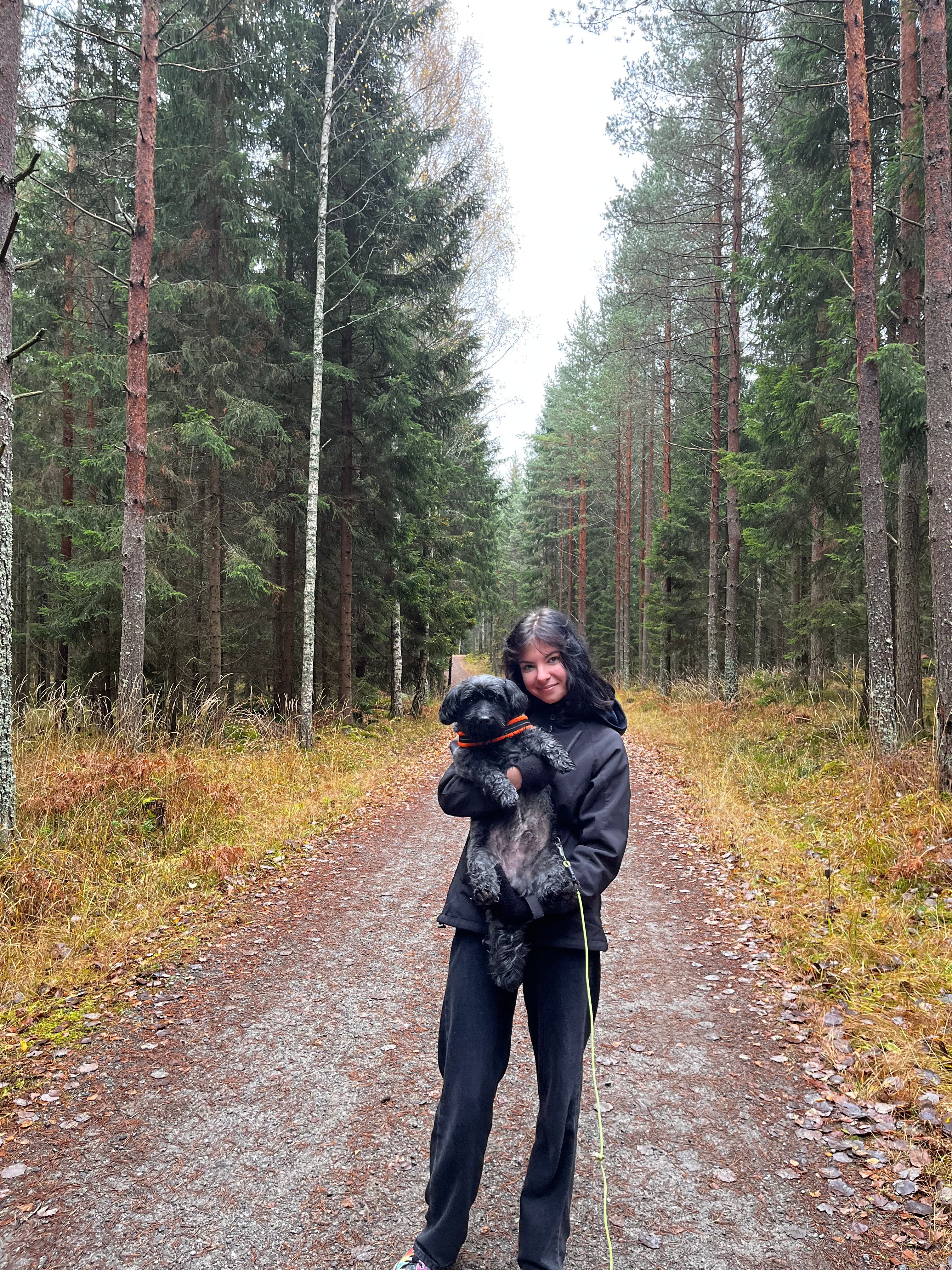 image-5