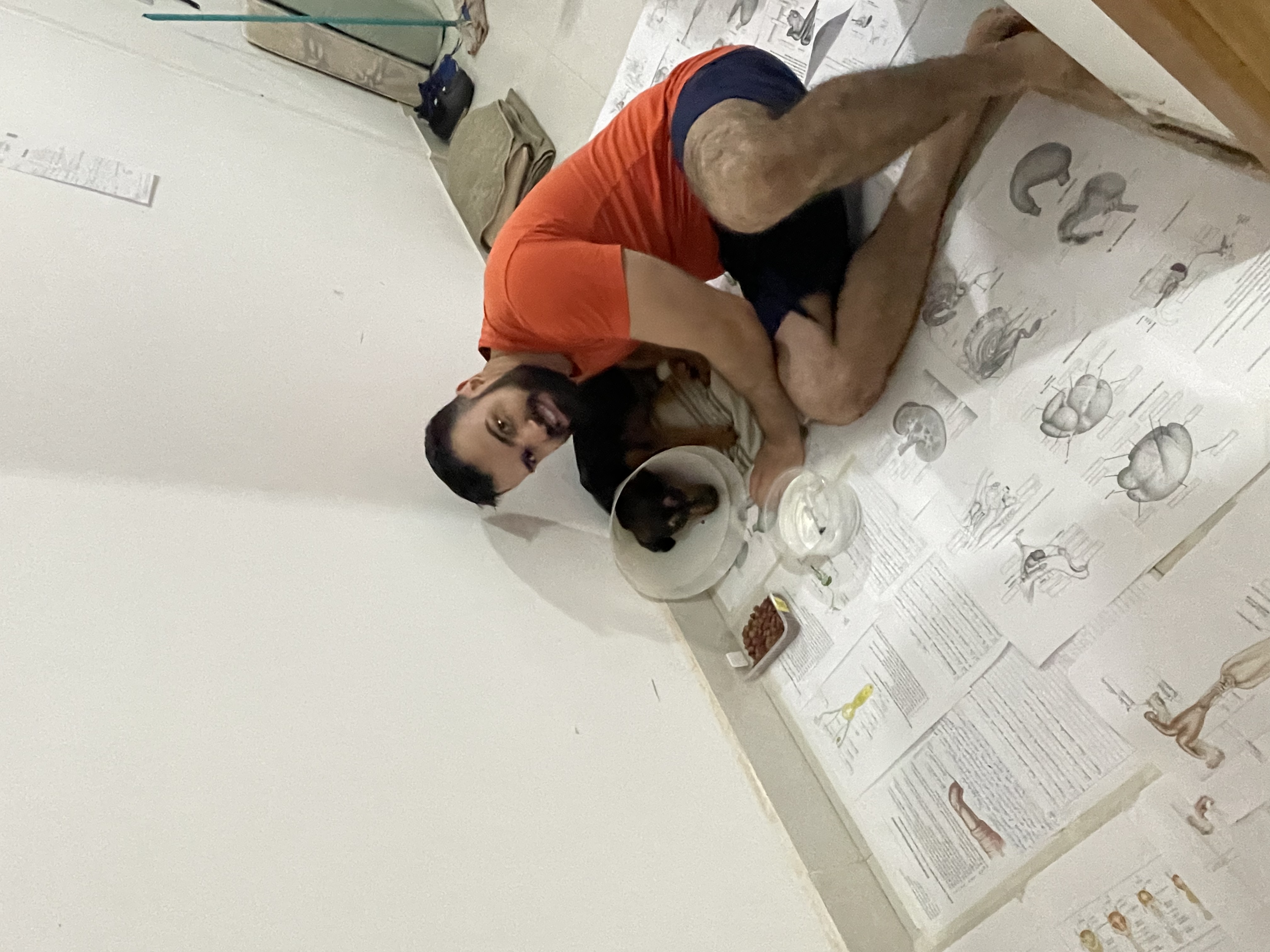 image-5