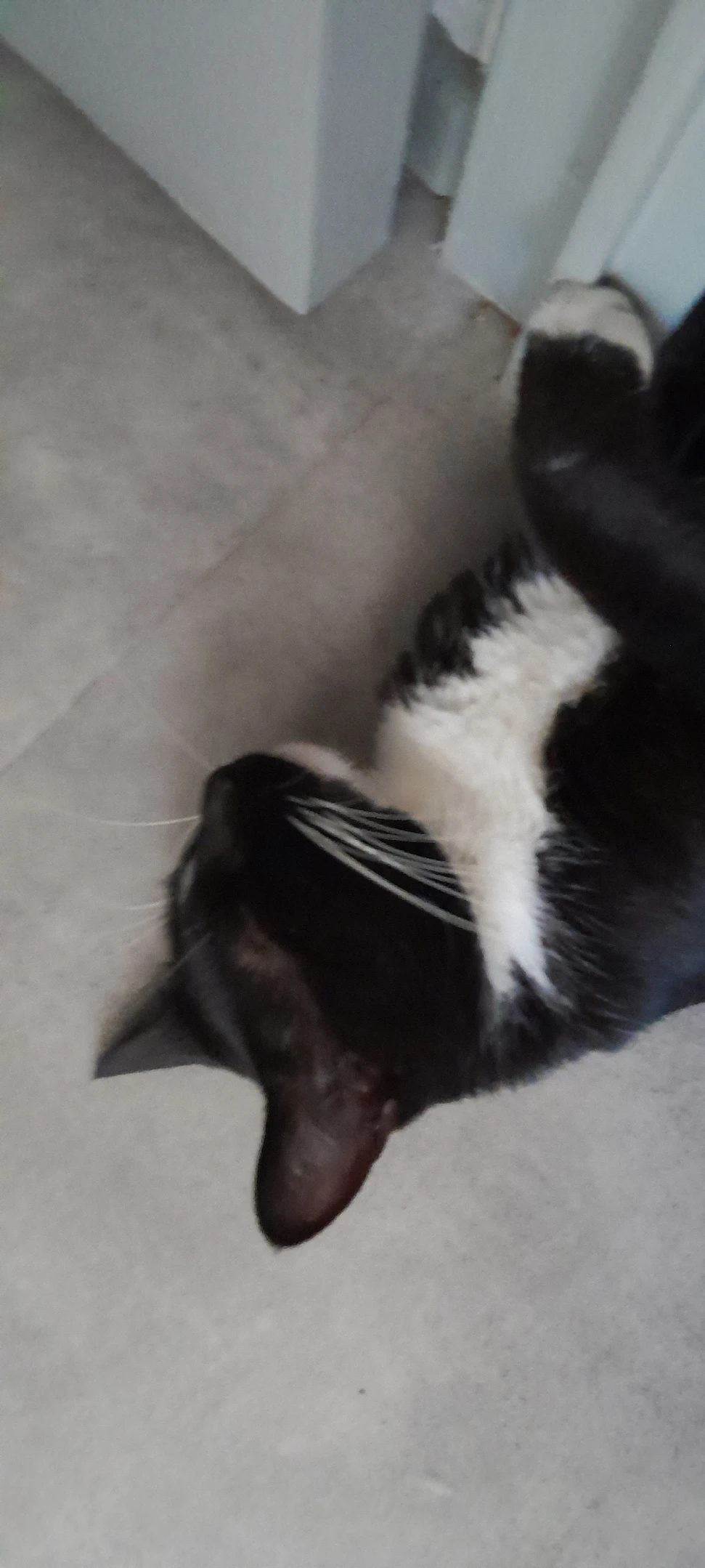 image-6