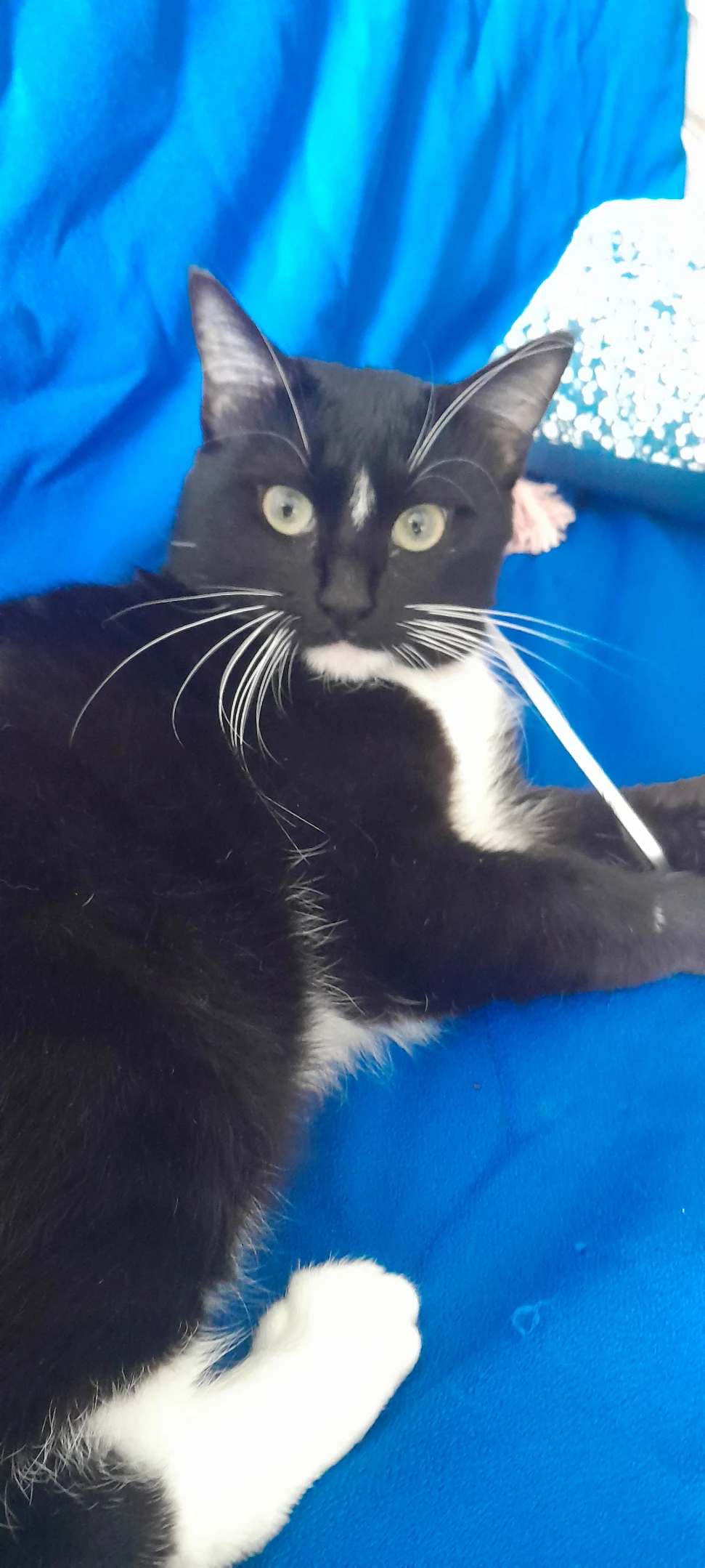 image-12