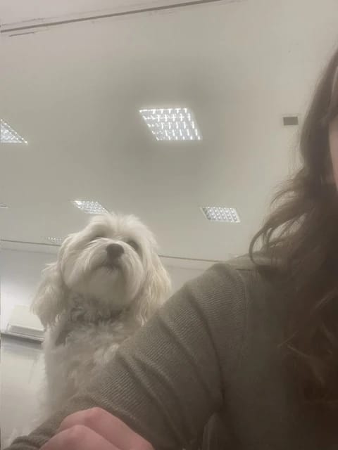 image-6