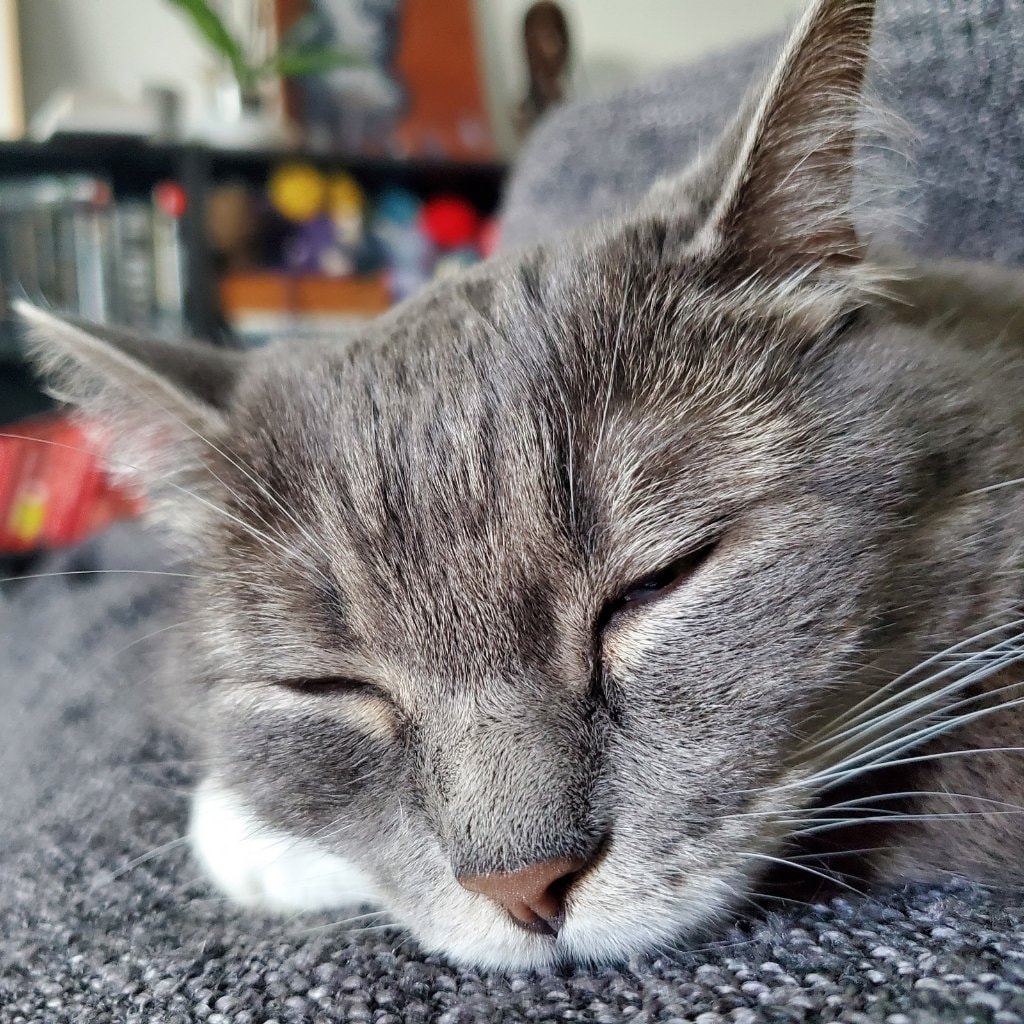 Thomas