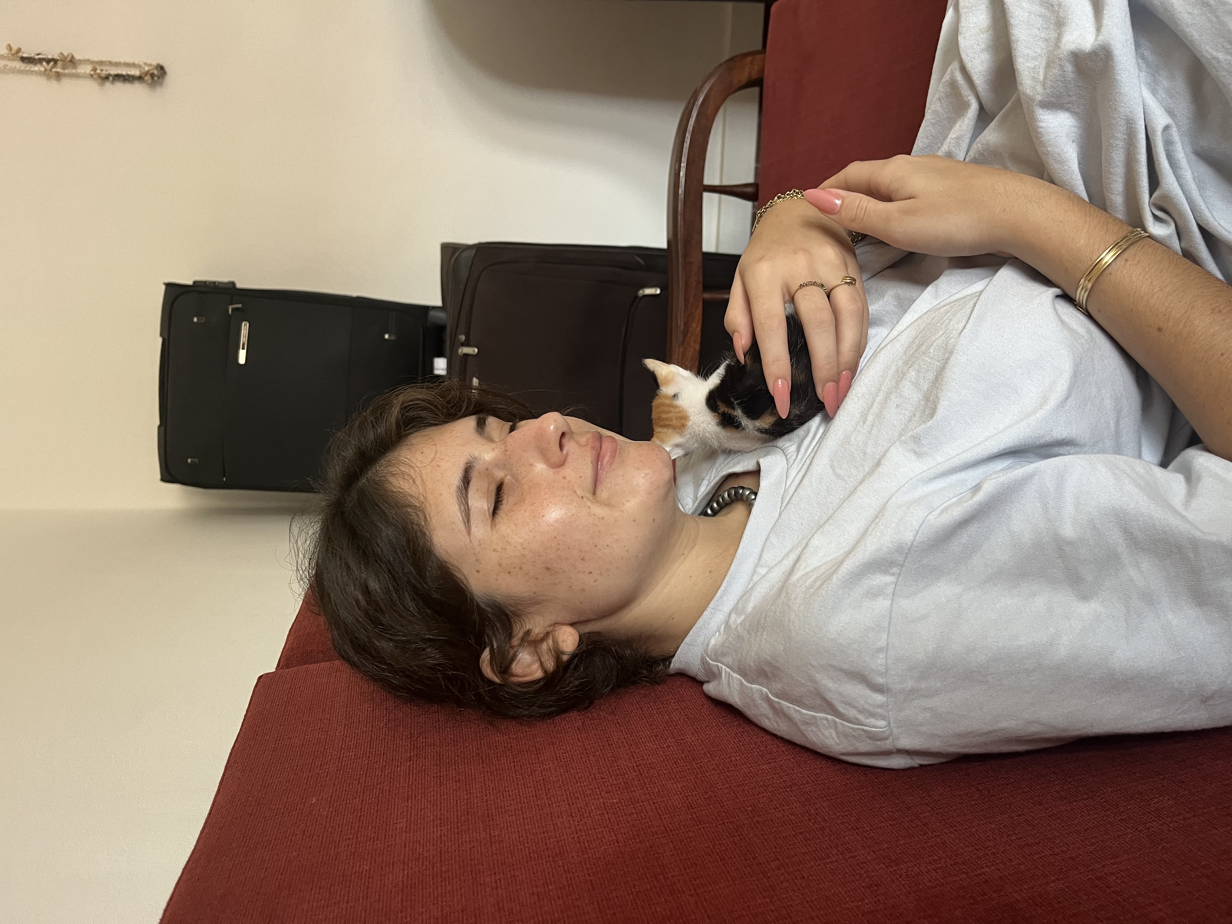 image-4