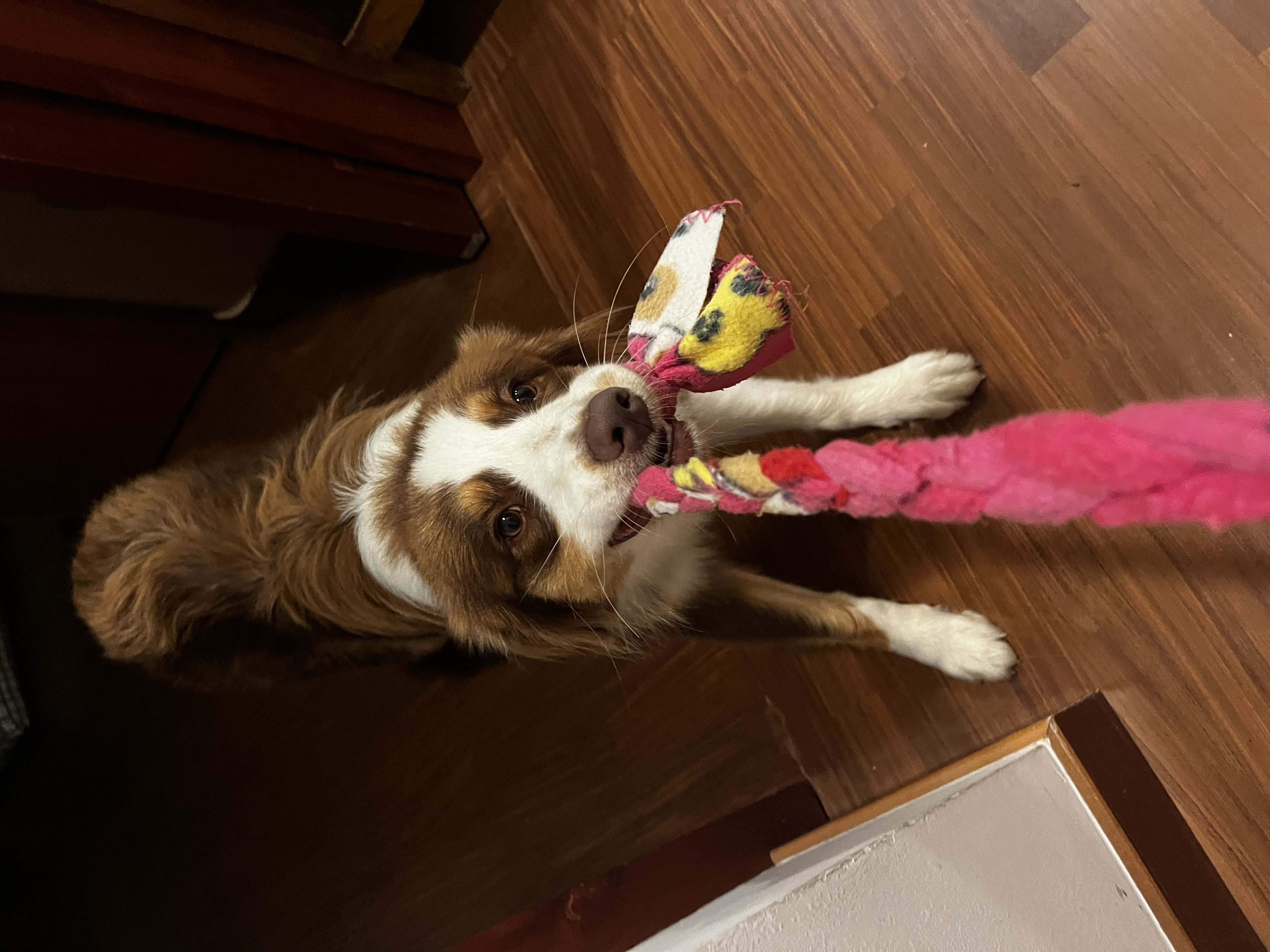 image-6