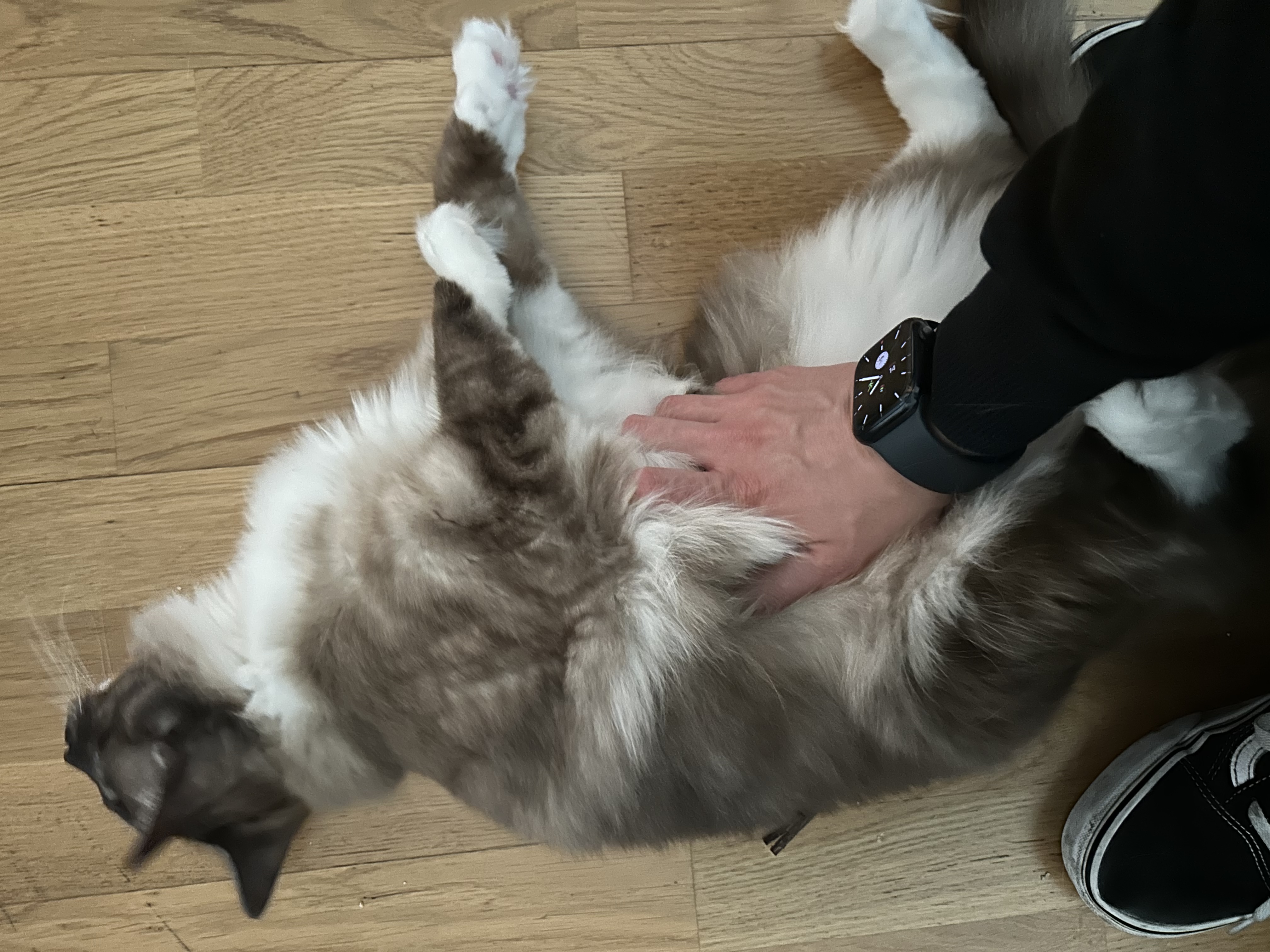 image-8