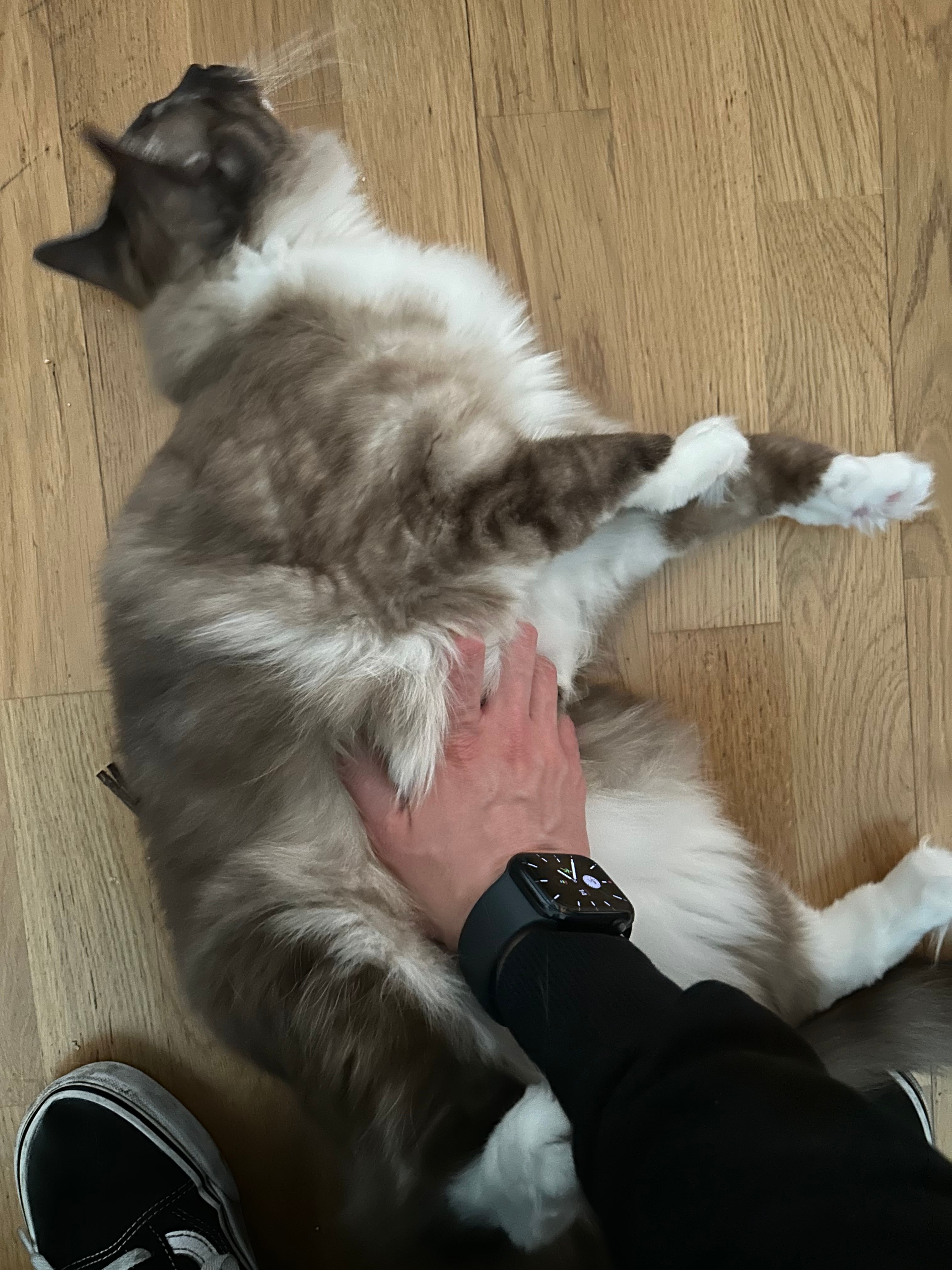 image-8