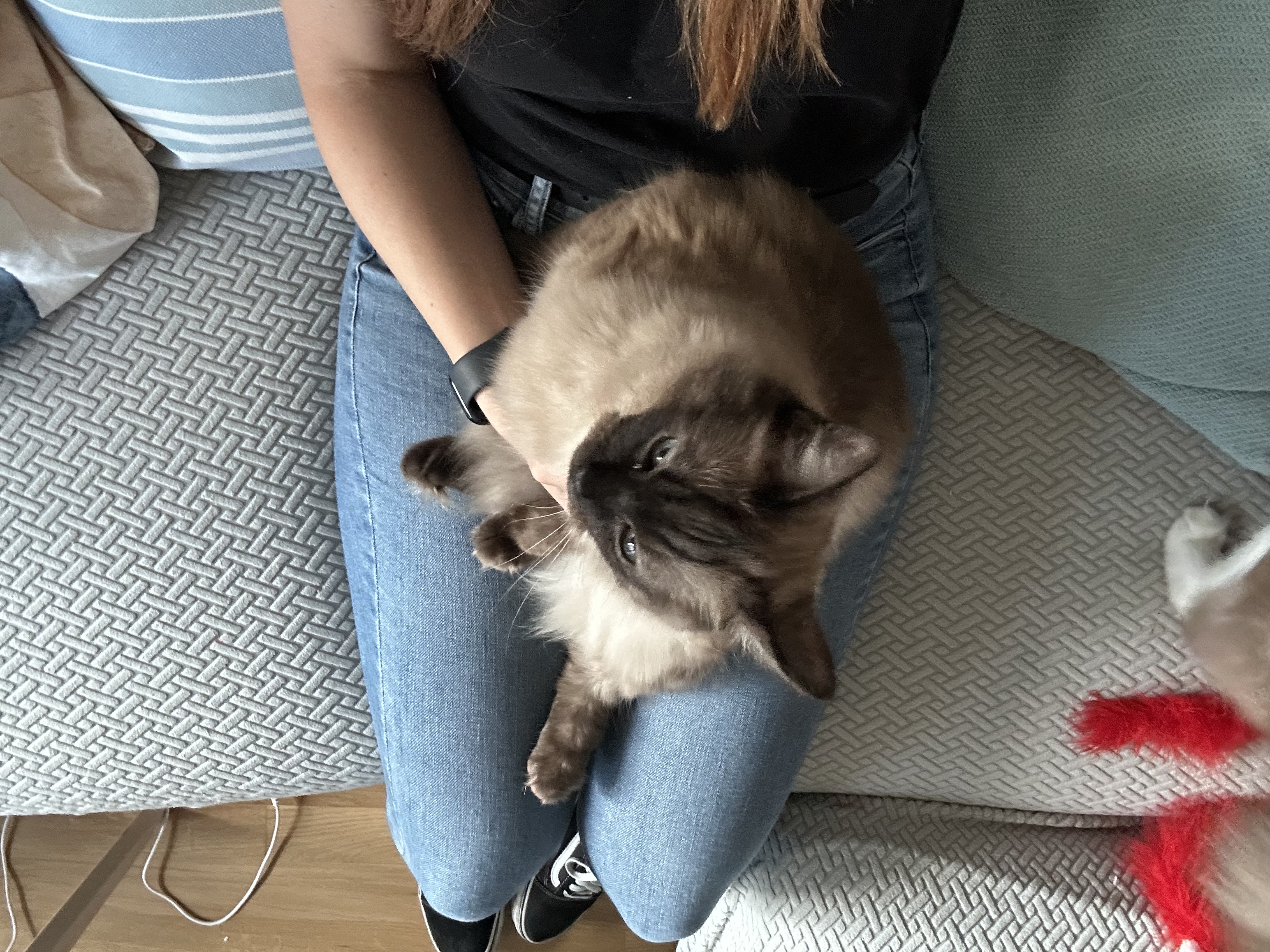image-9