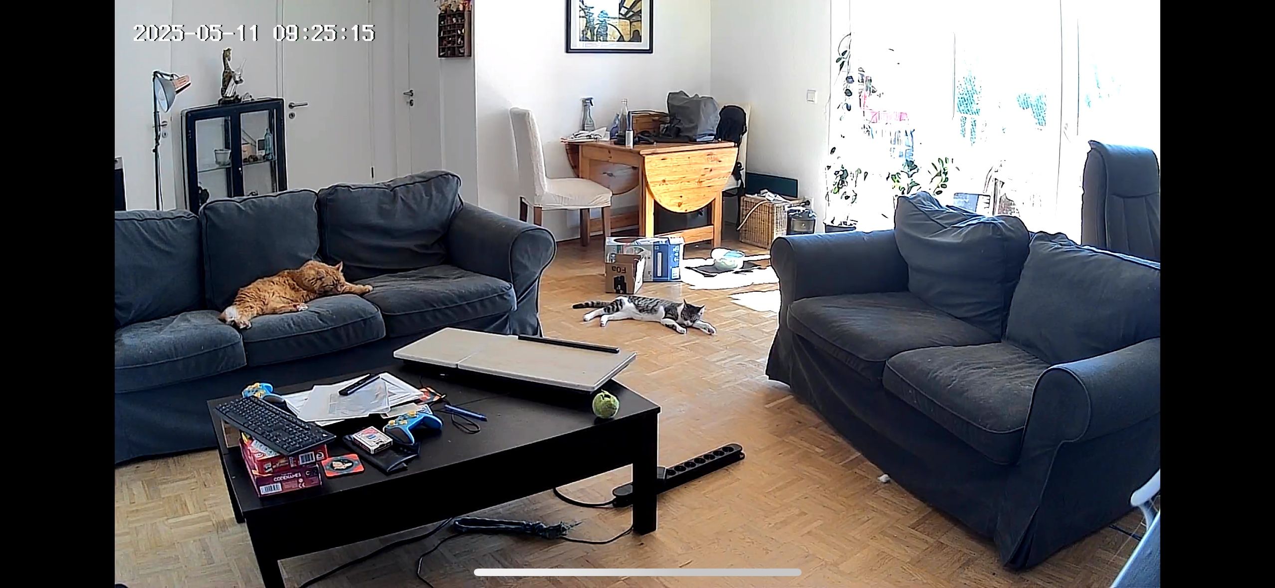 image-15