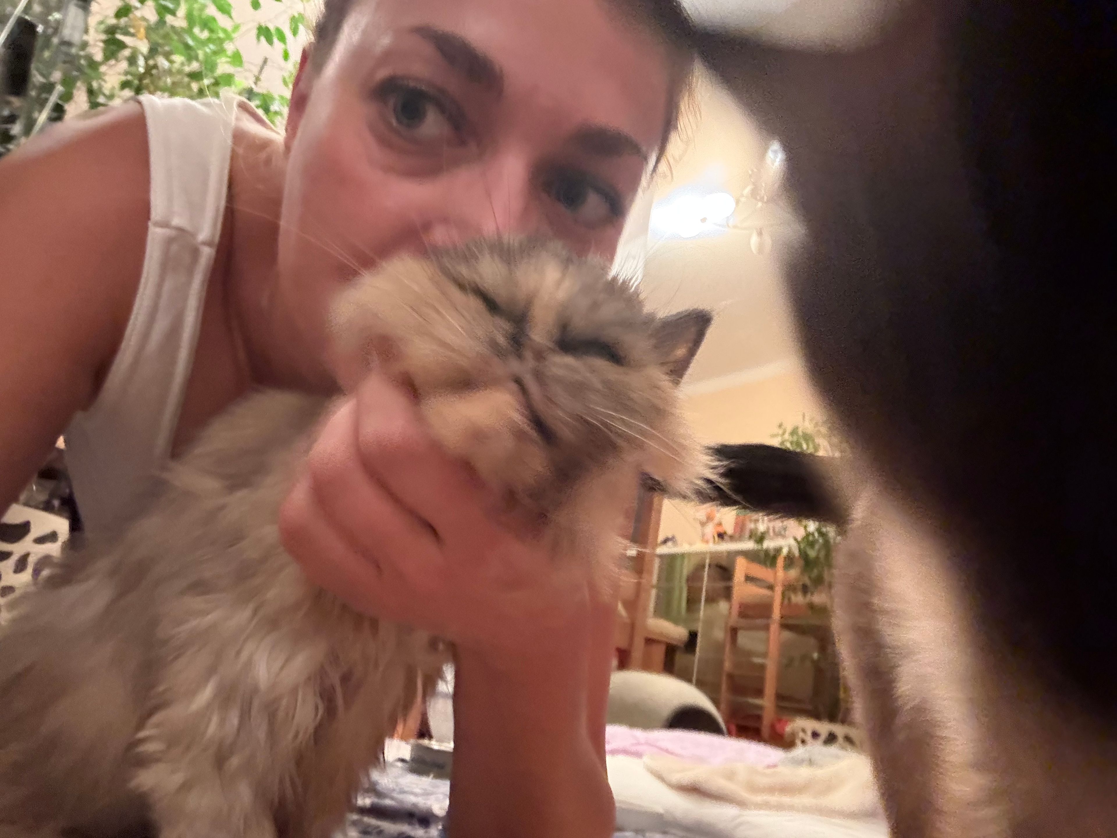 image-5