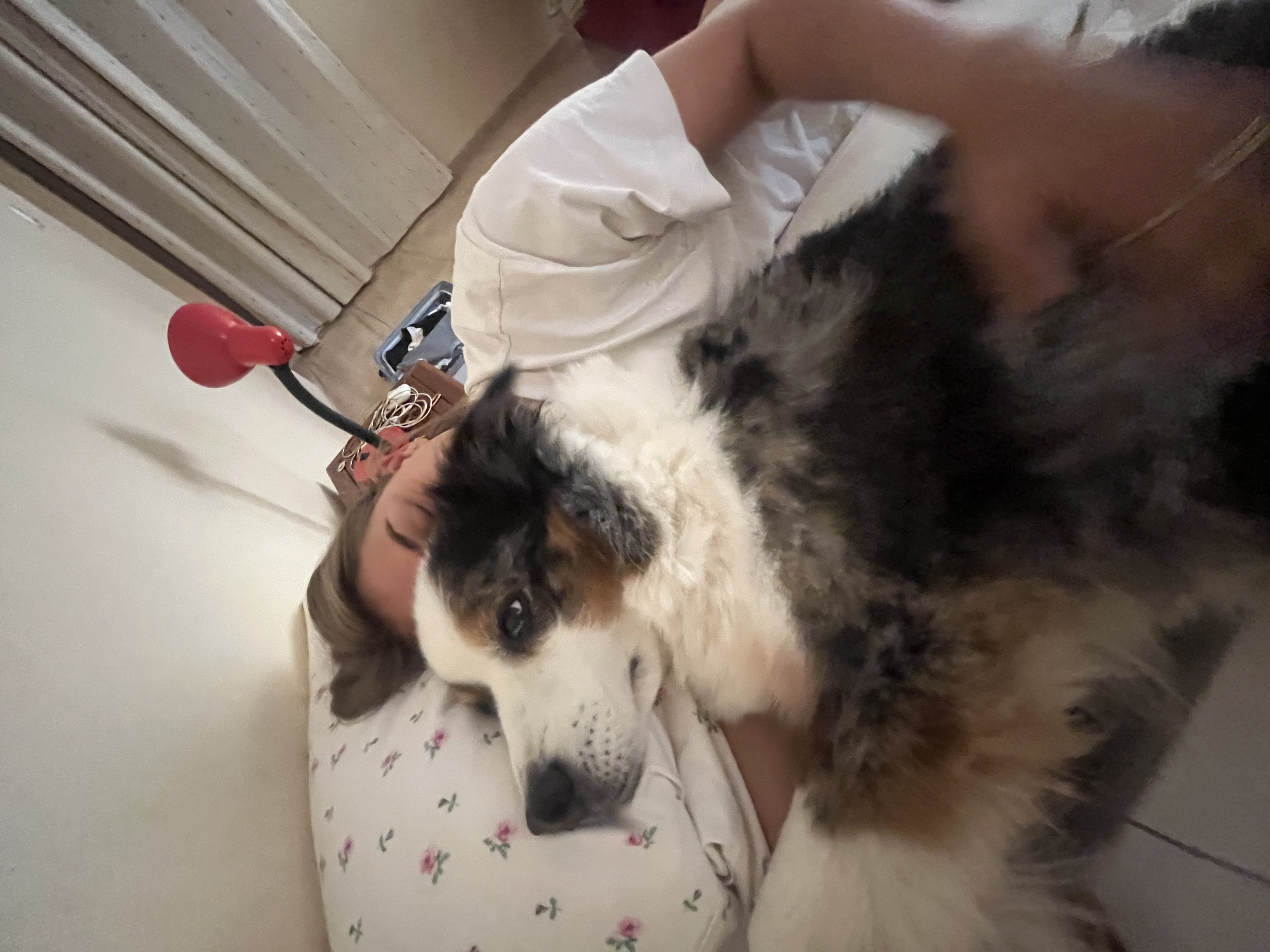 image-7