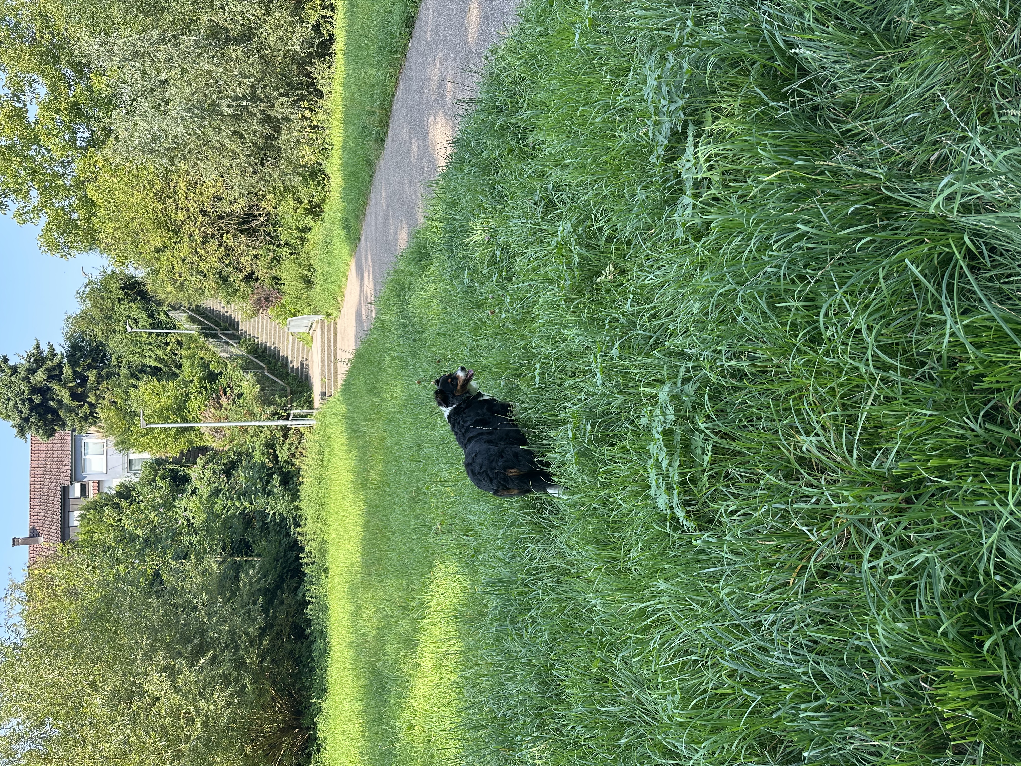 image-18