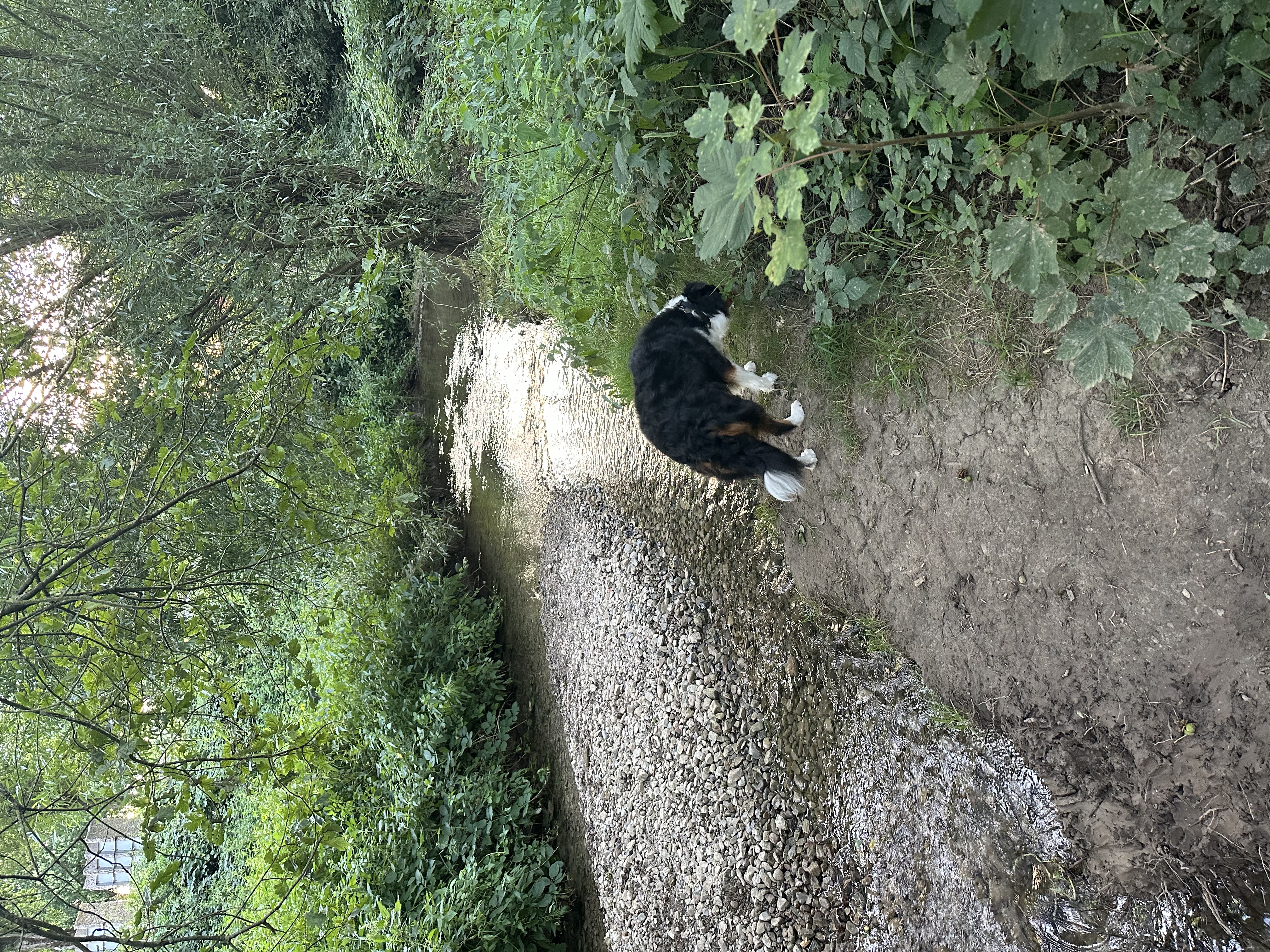 image-14