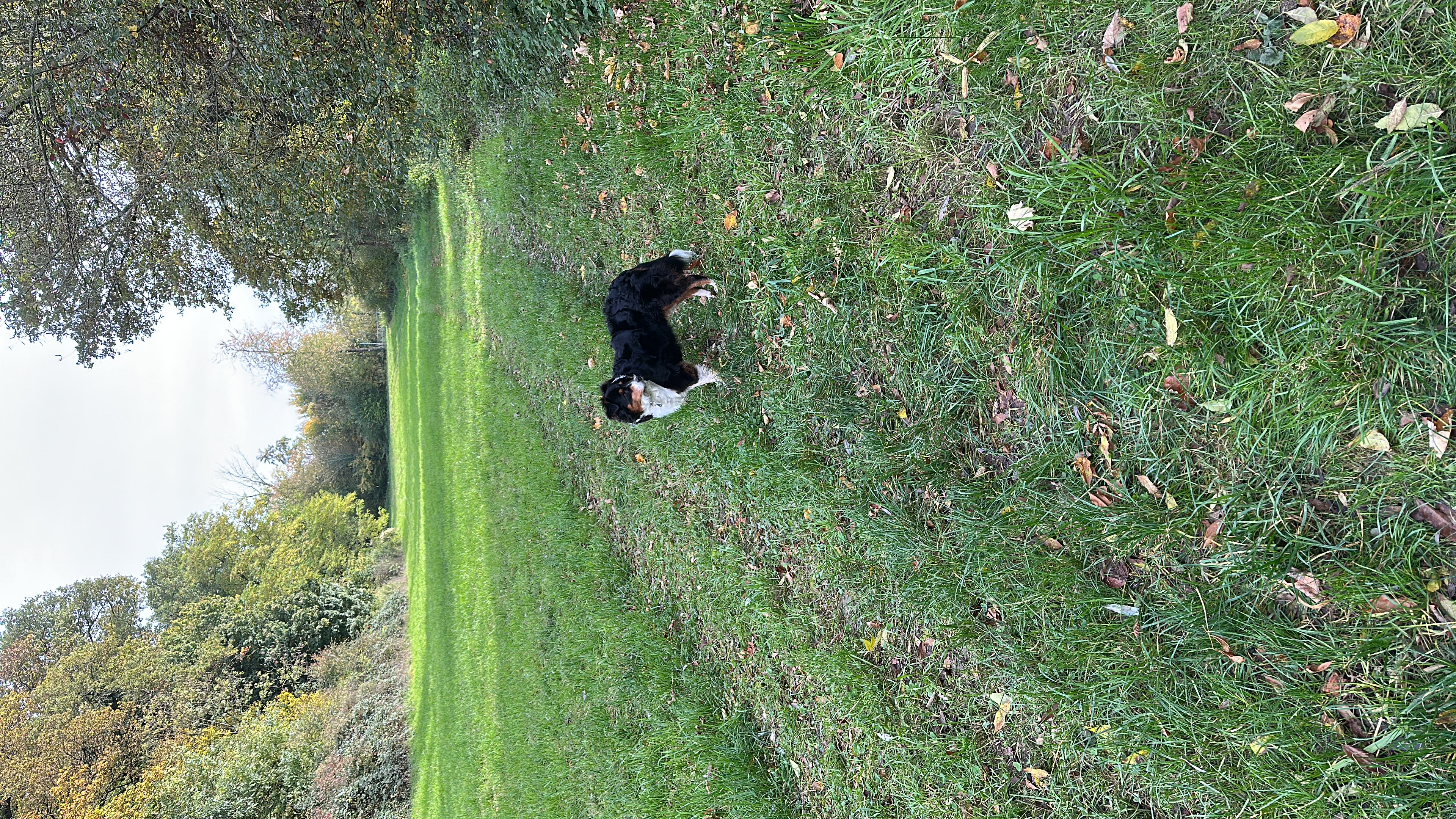 image-16