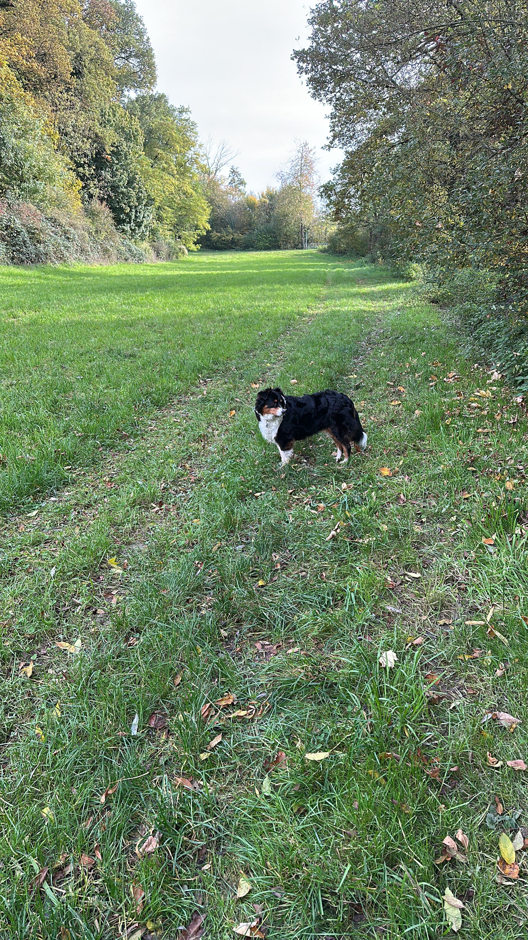 image-16