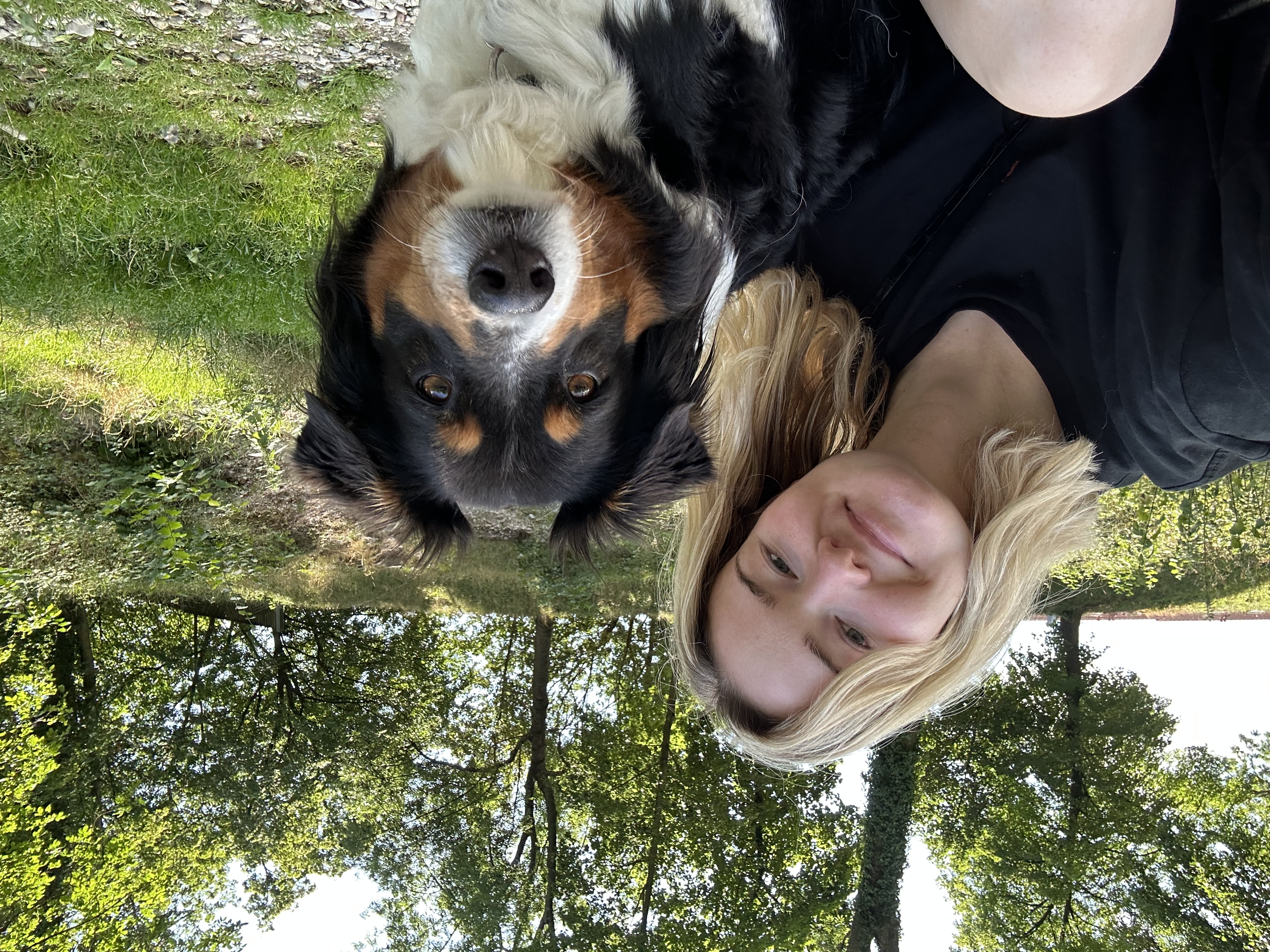 image-6