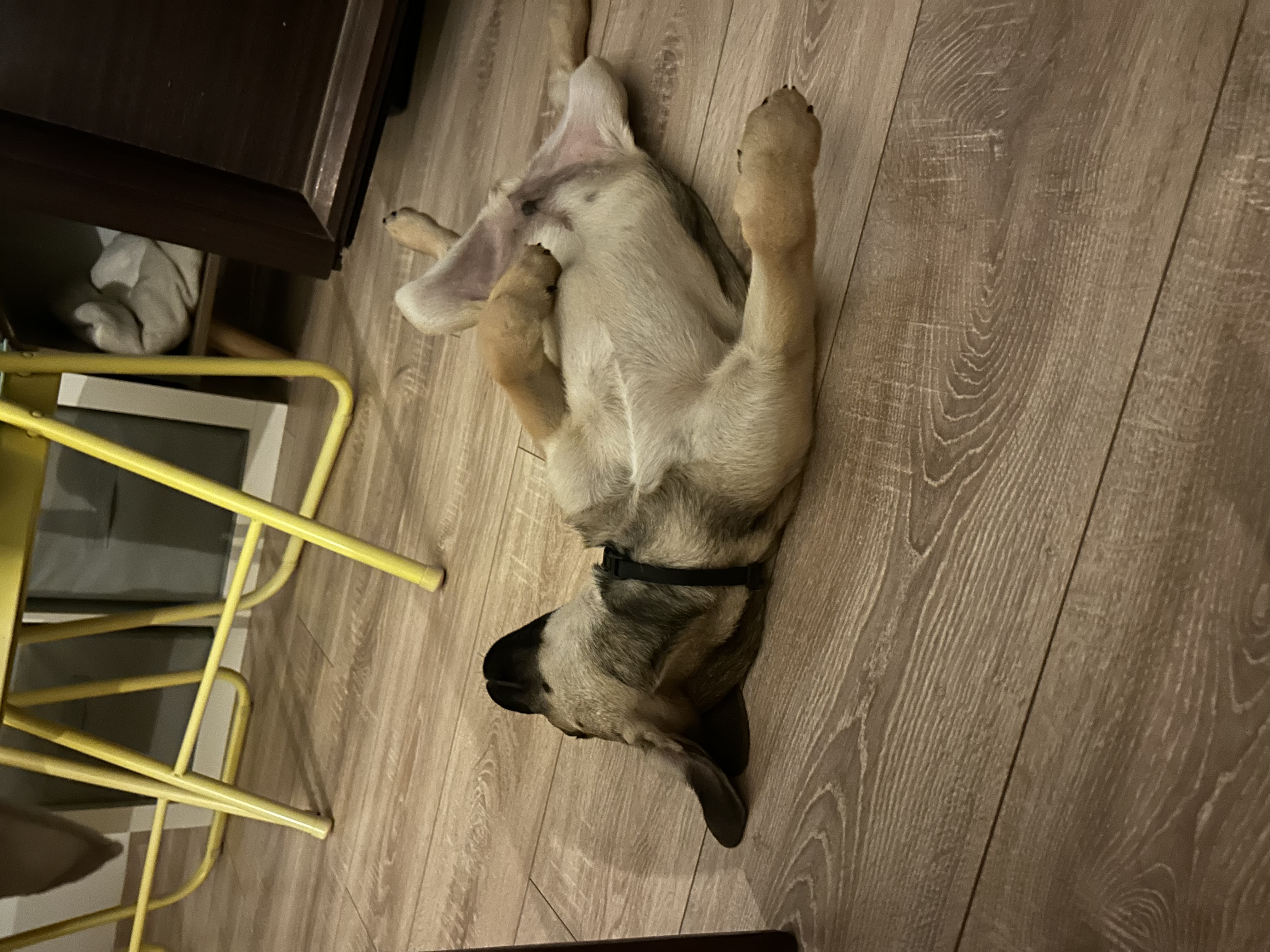 image-4