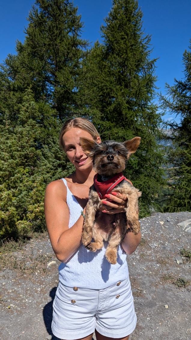 image-2