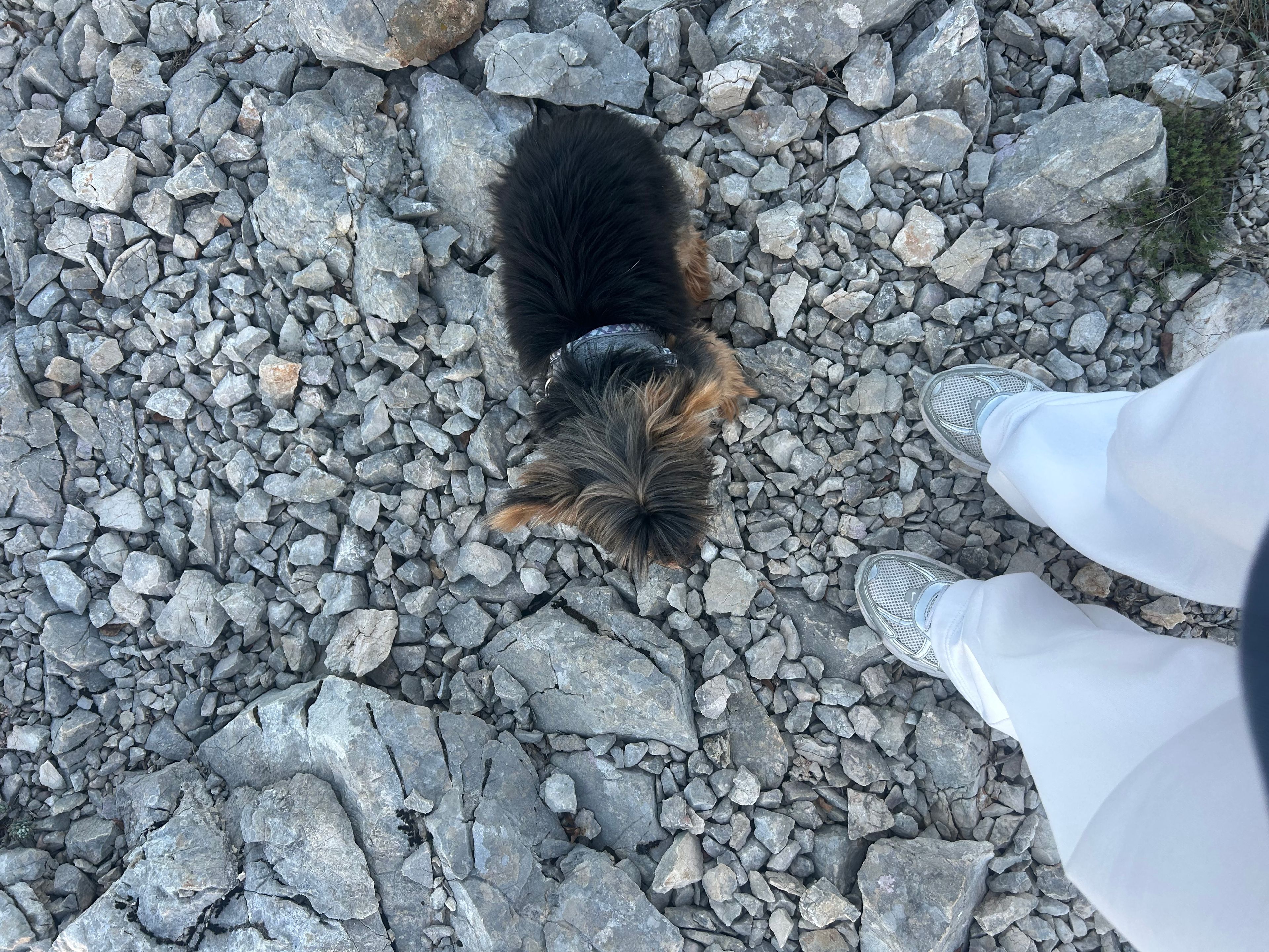 image-11