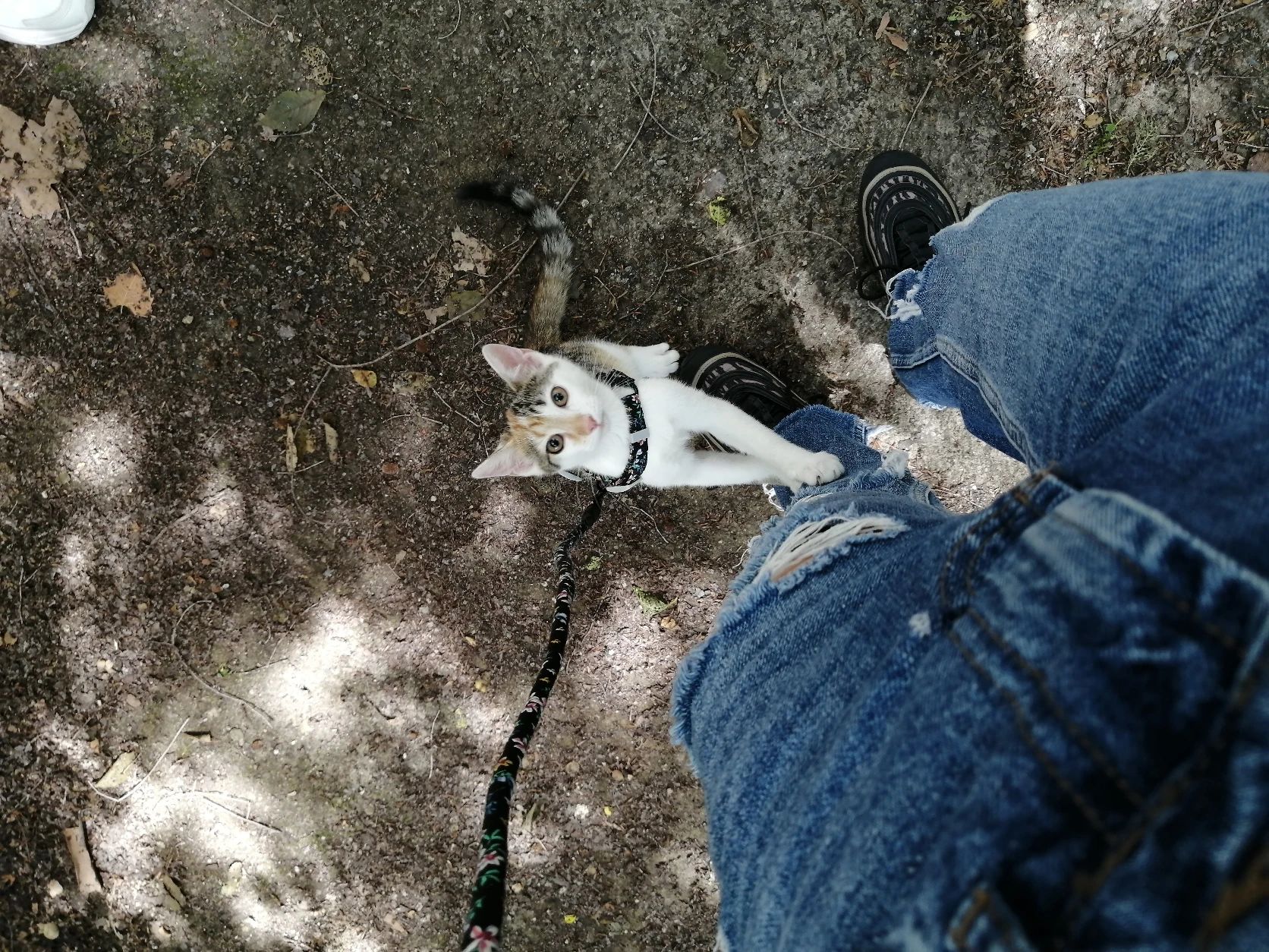 image-11