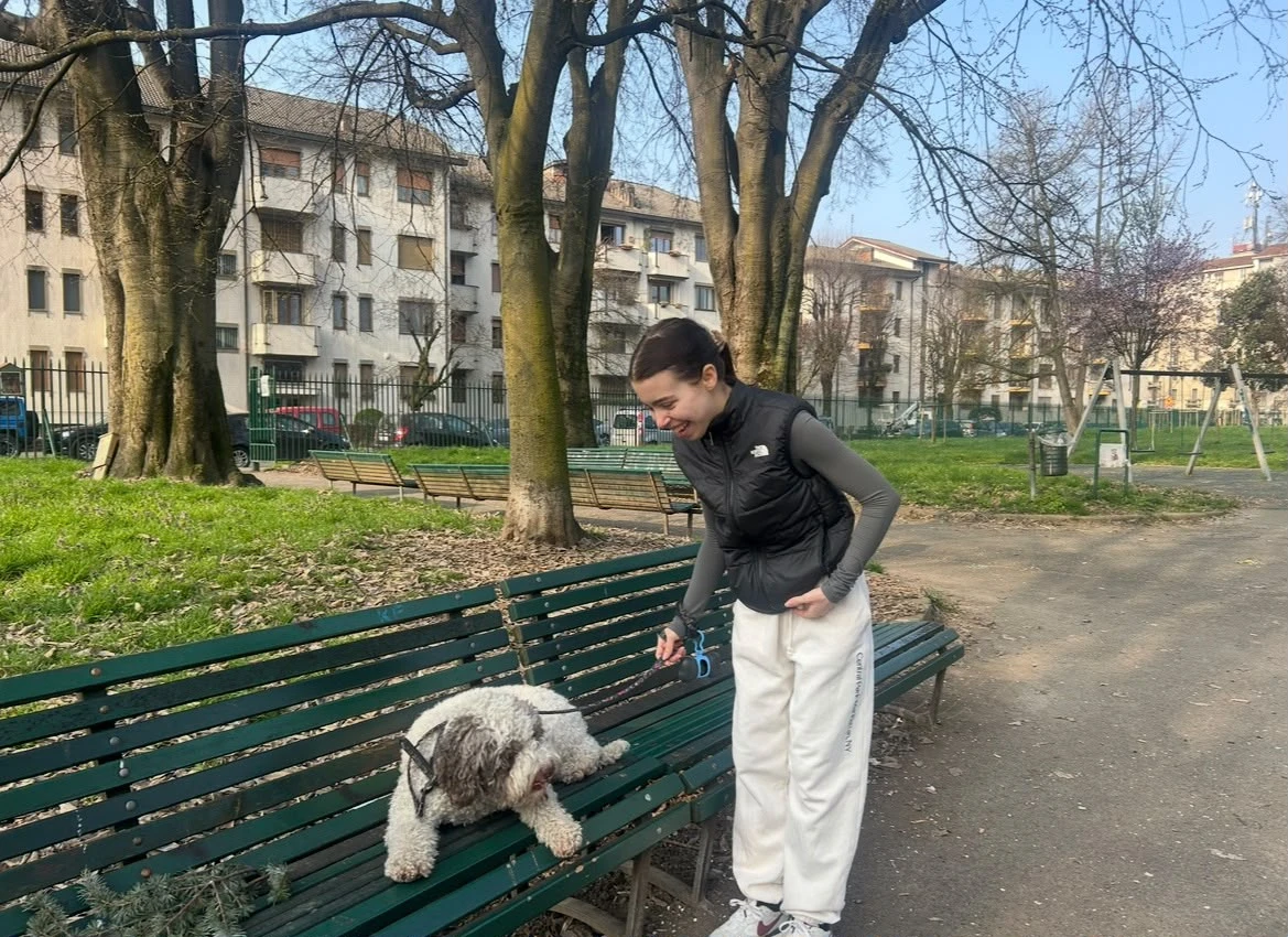 image-3