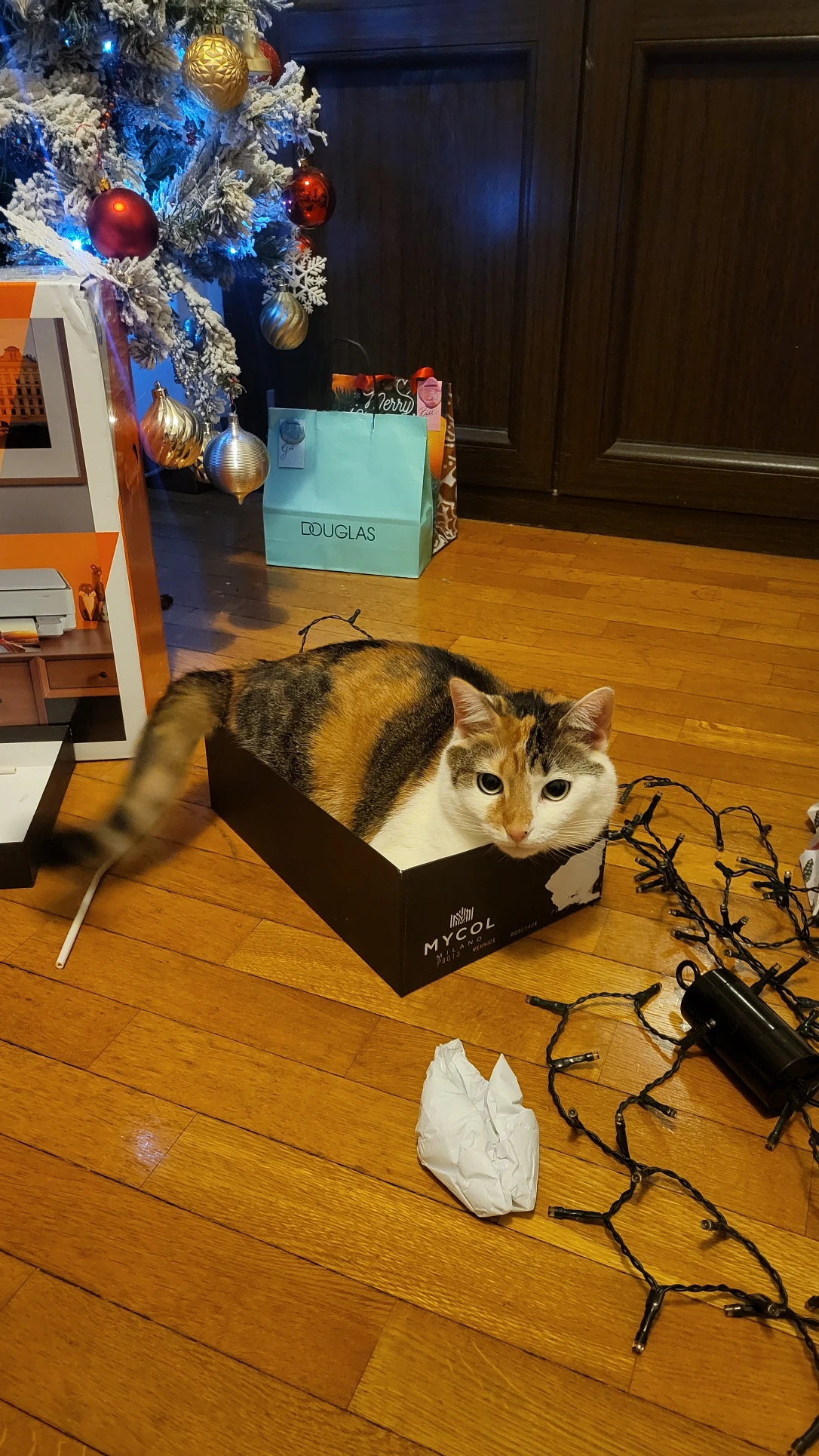 image-8