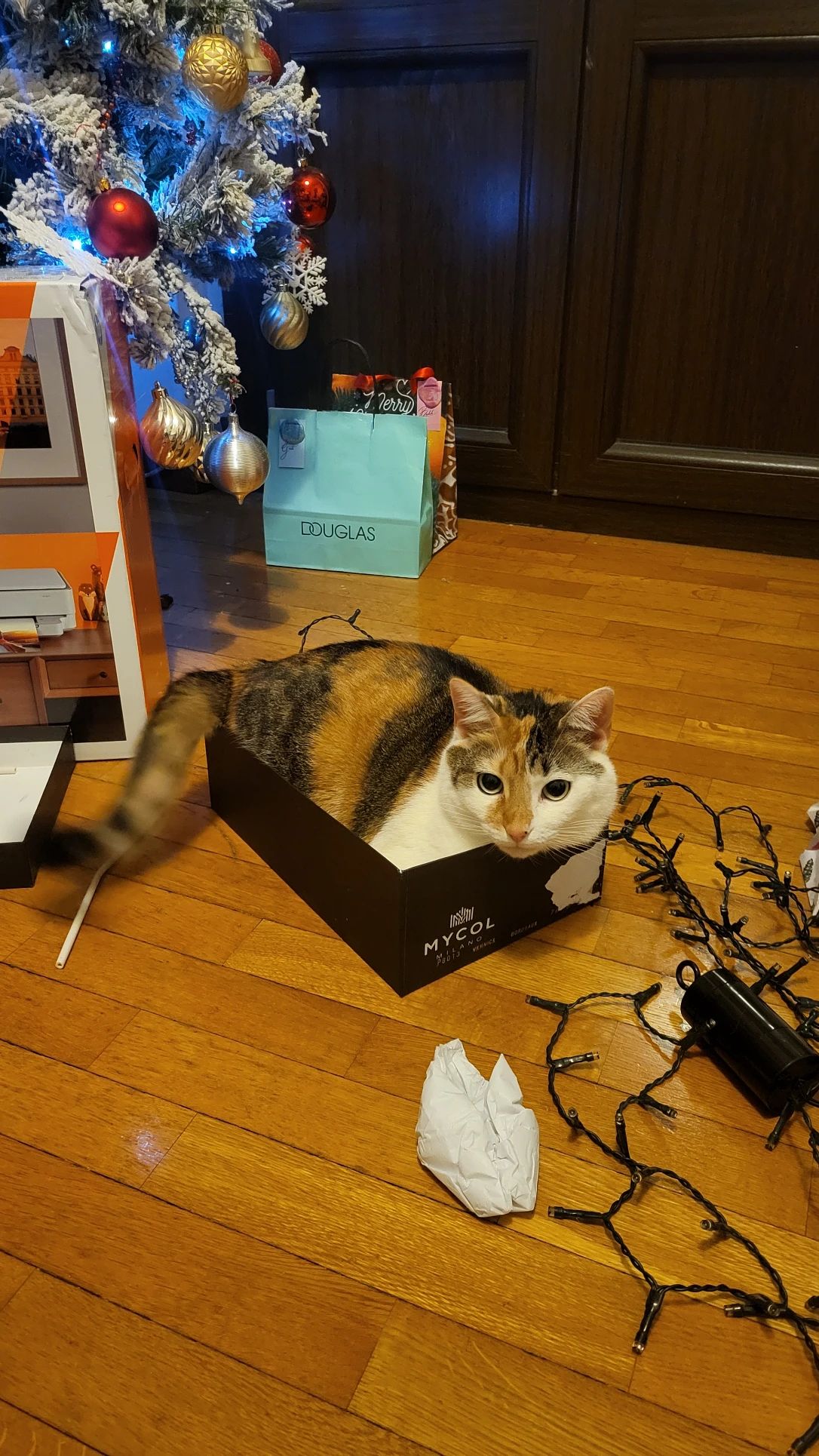 image-8