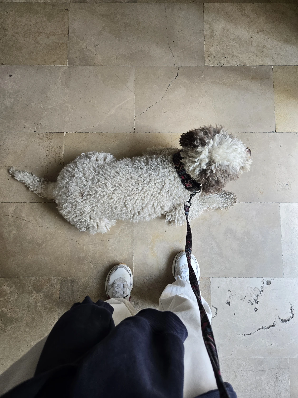 image-7