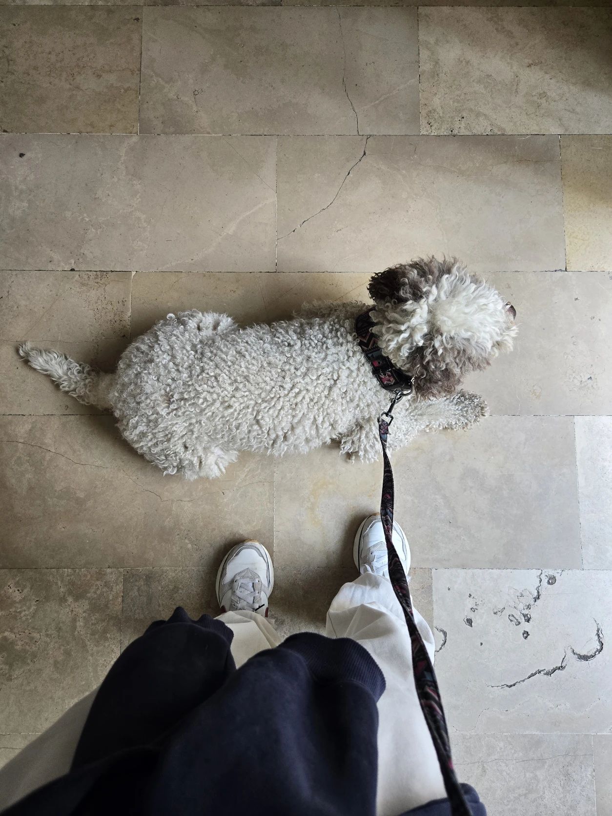 image-7