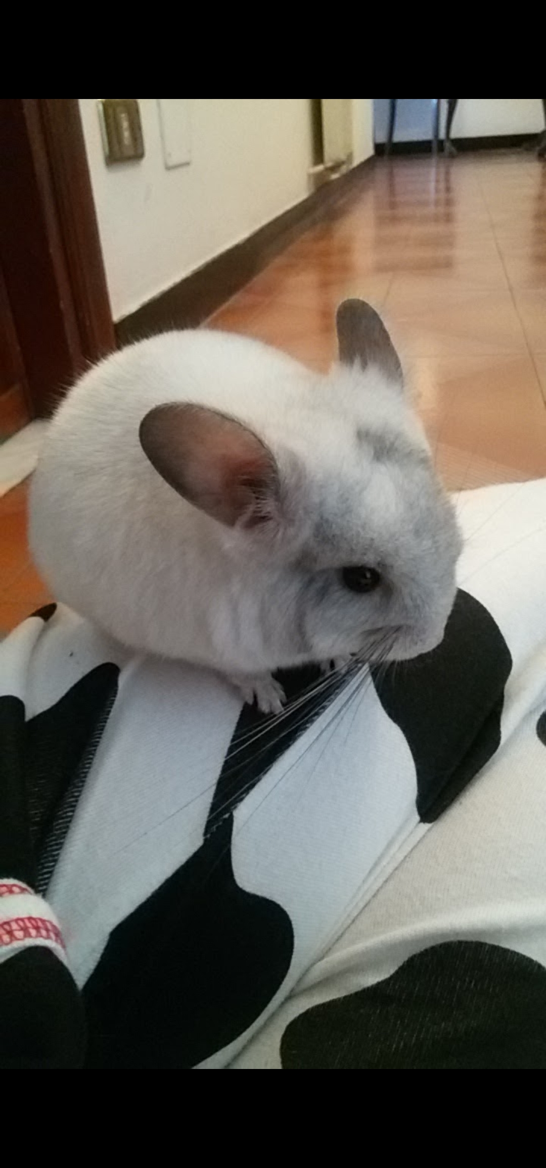 image-9