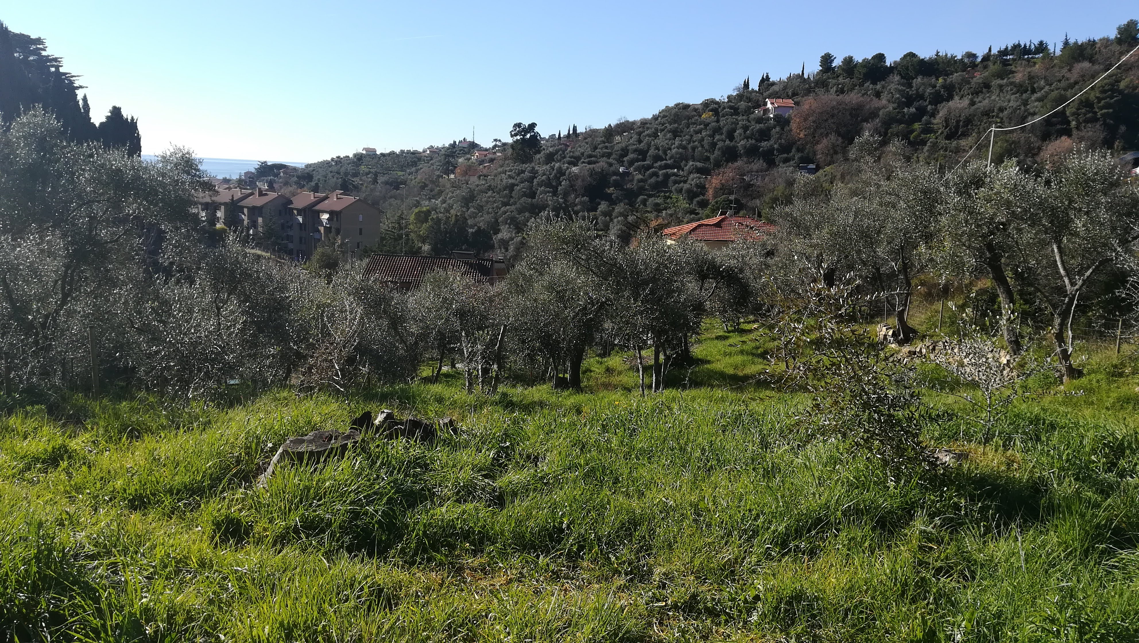 image-19