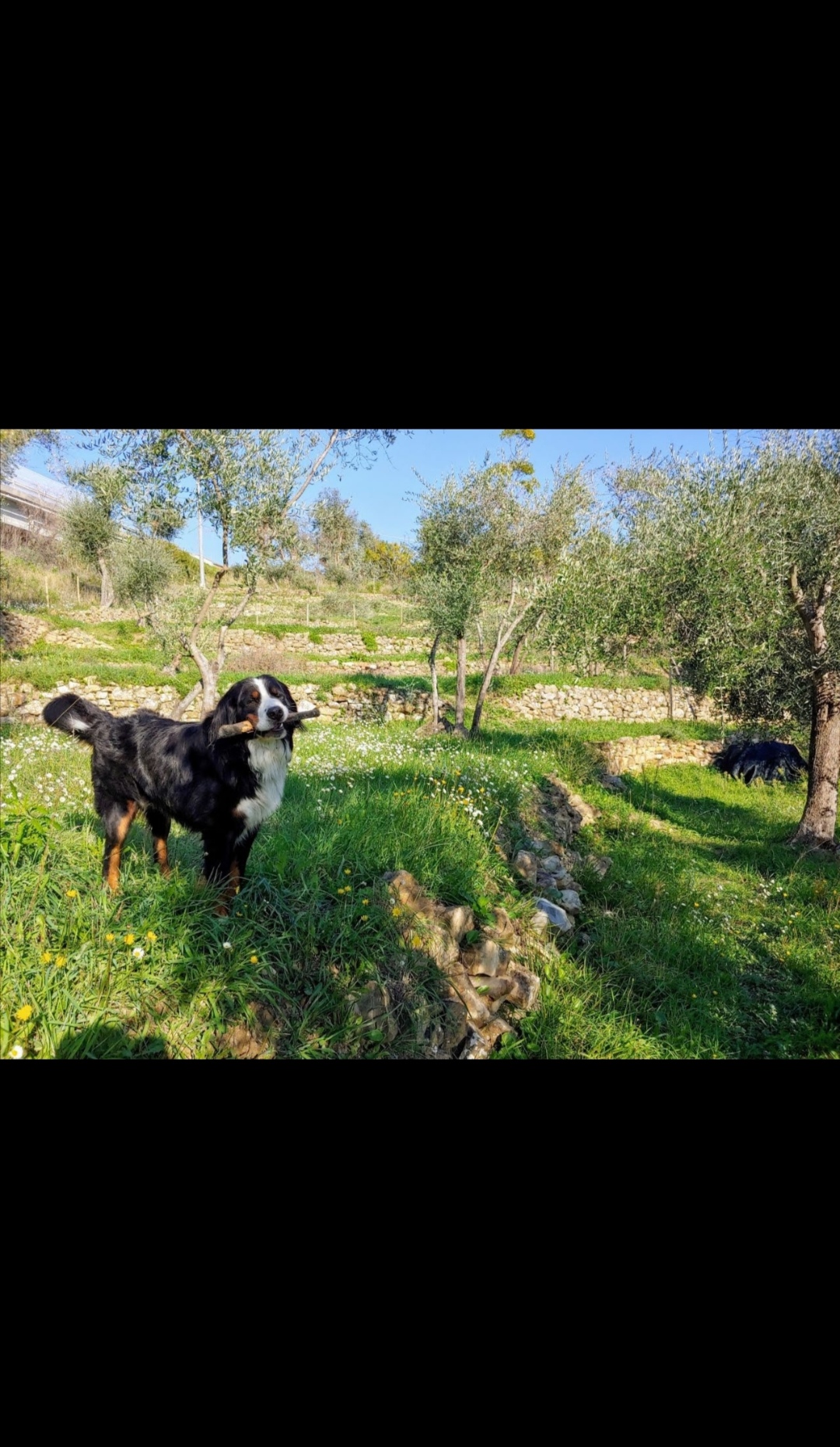 image-14