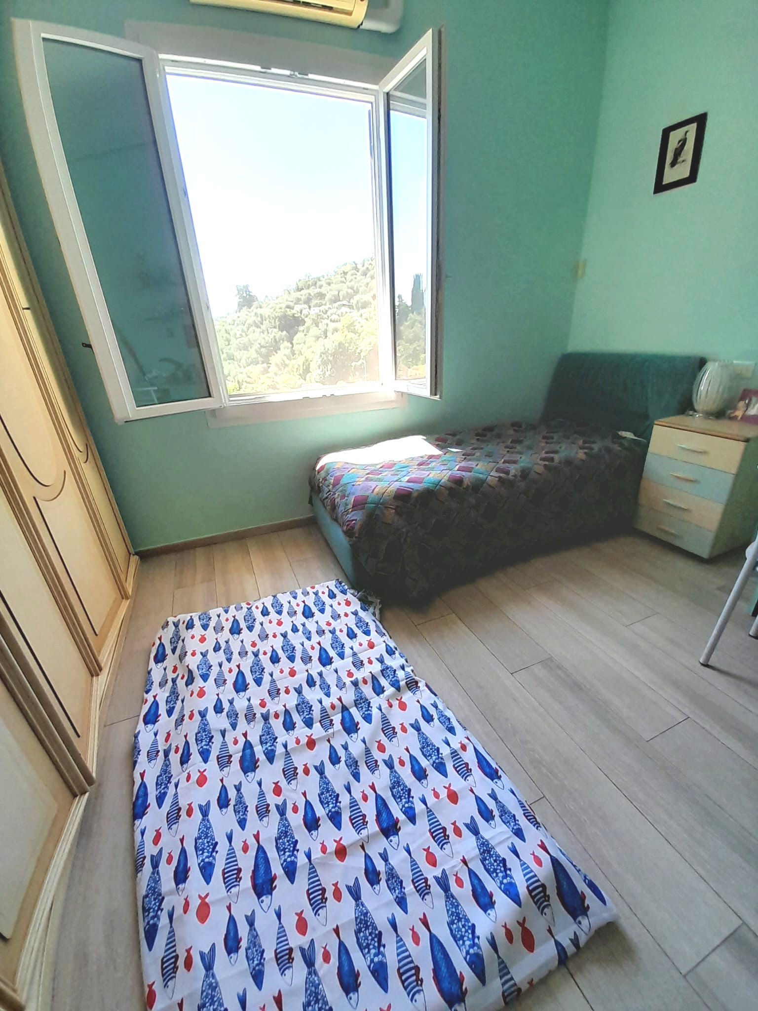 image-13