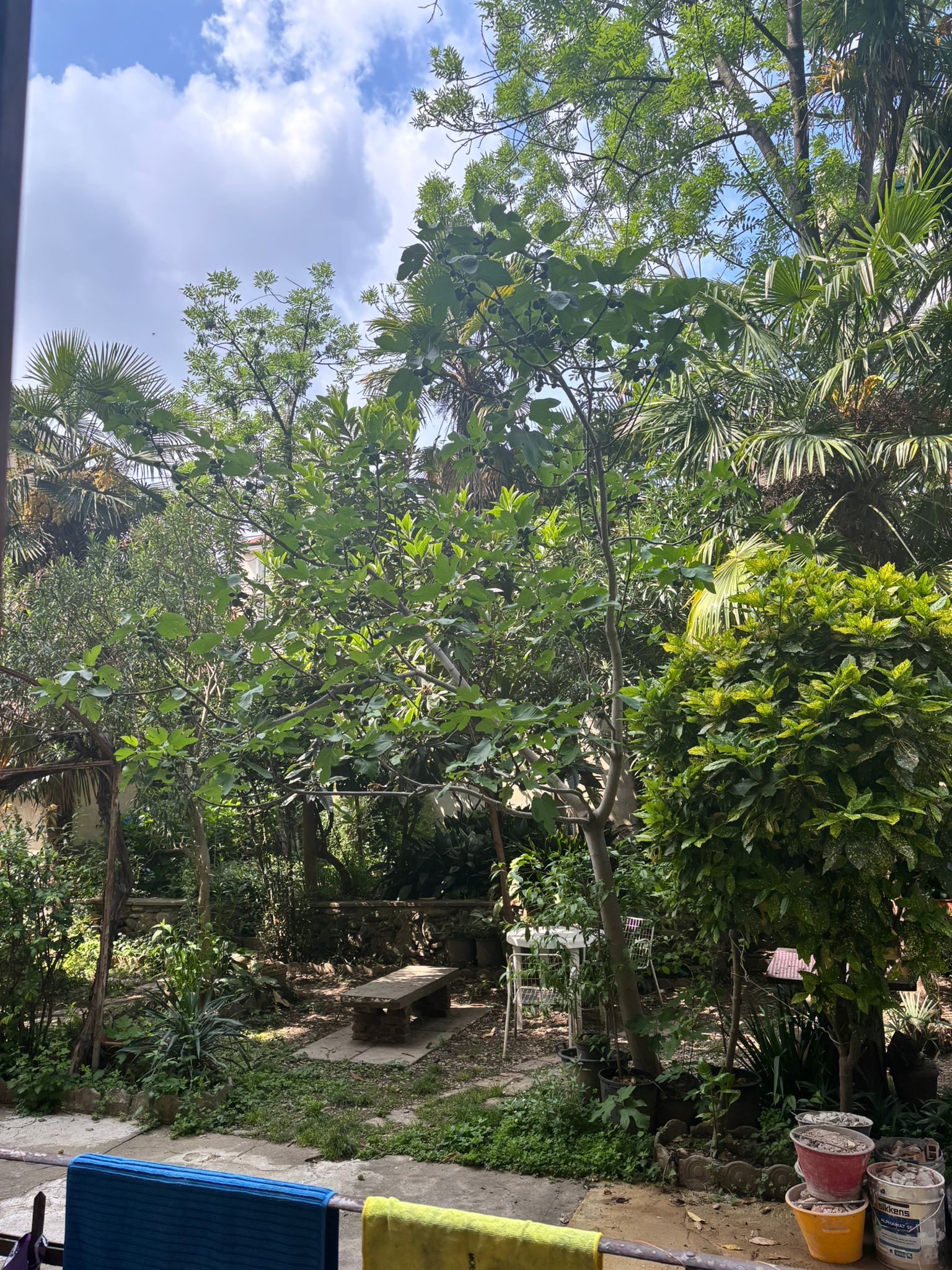 image-14