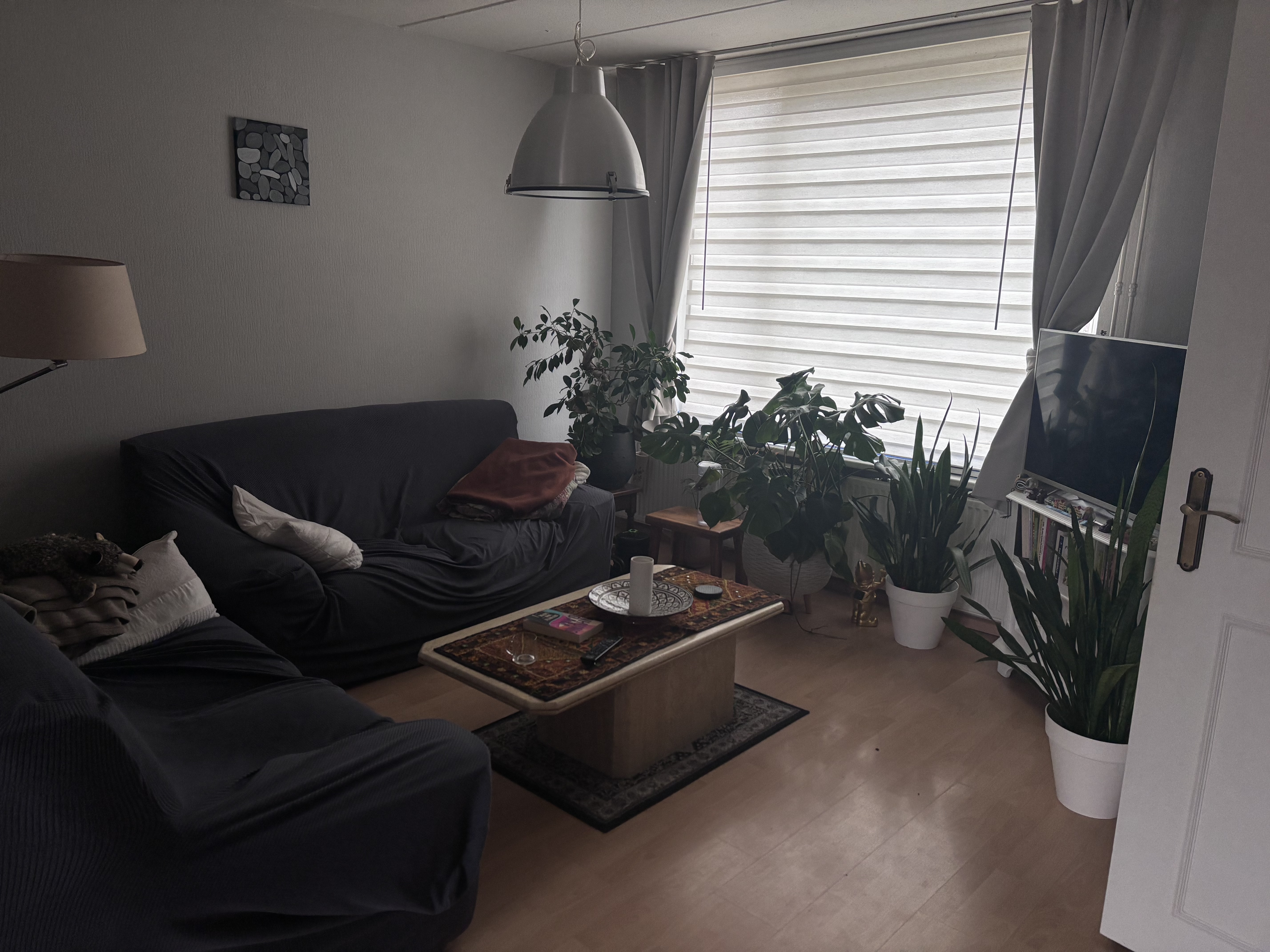 image-5