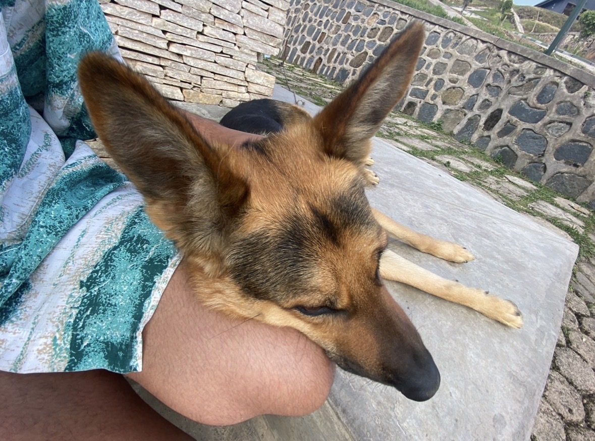 image-4
