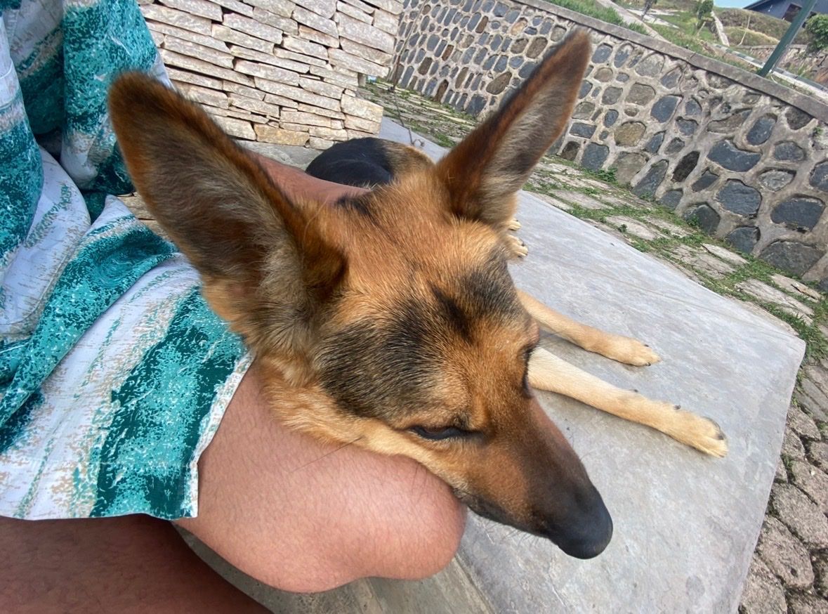 image-4