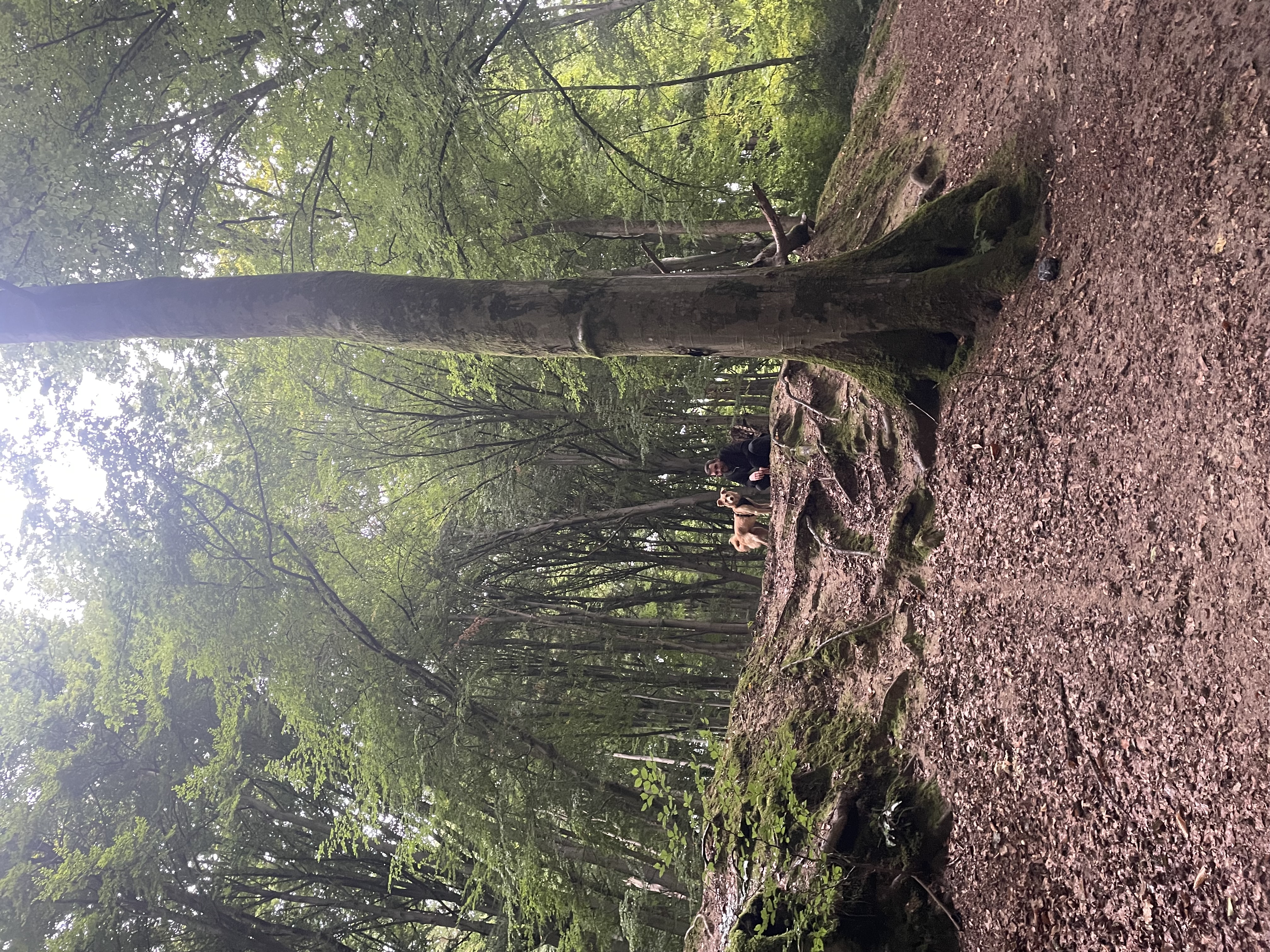 image-14