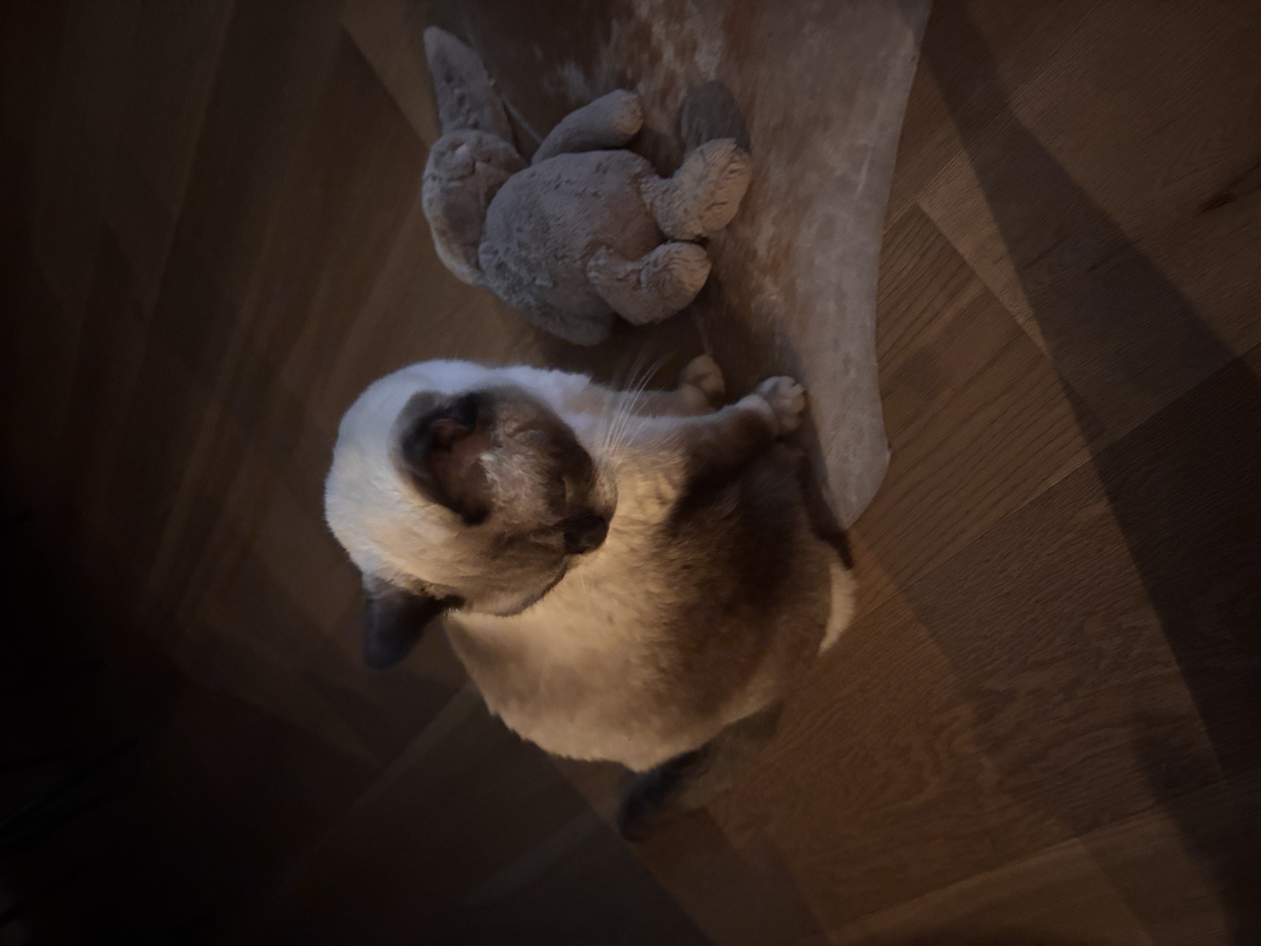 image-6