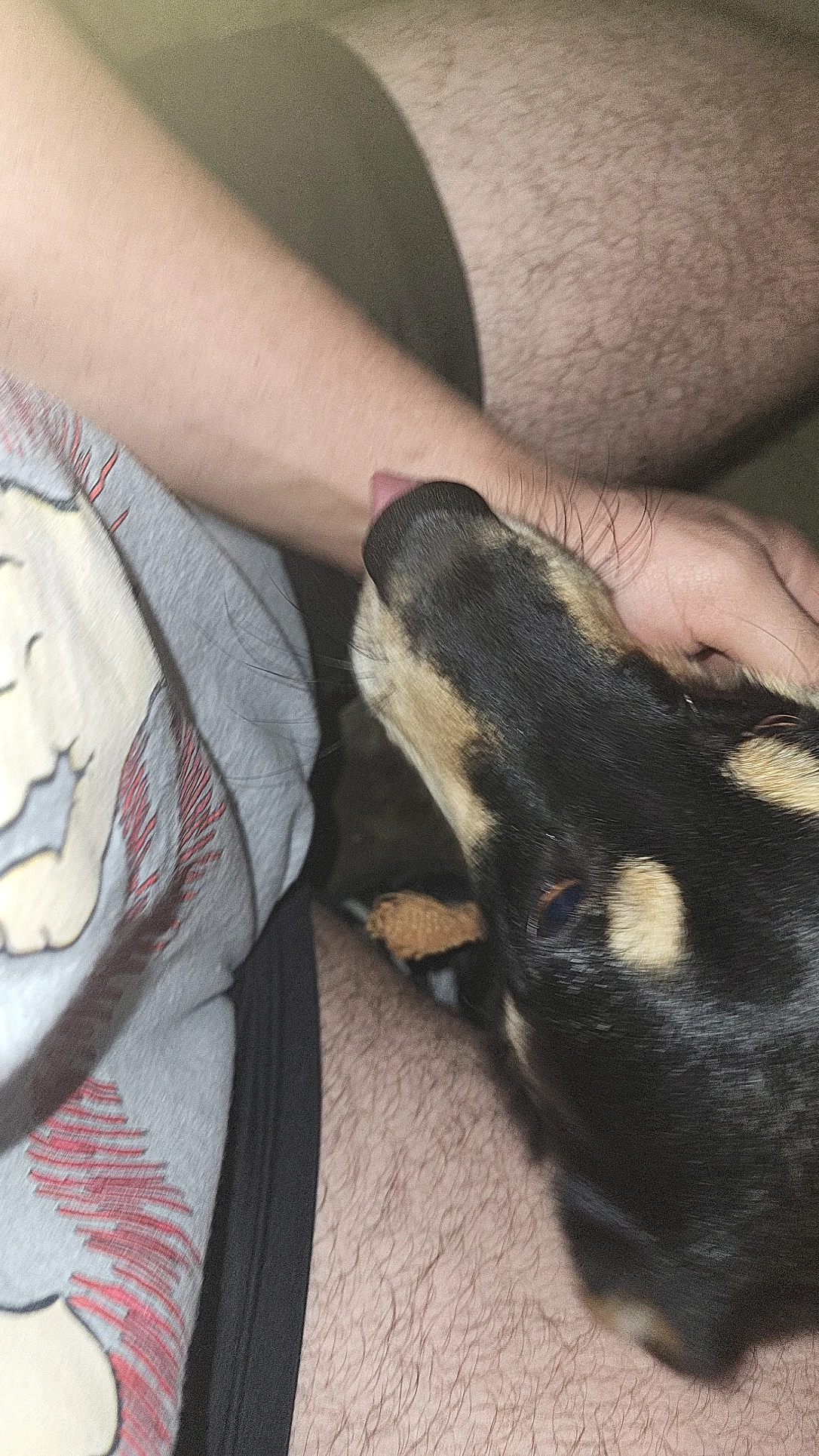 image-8