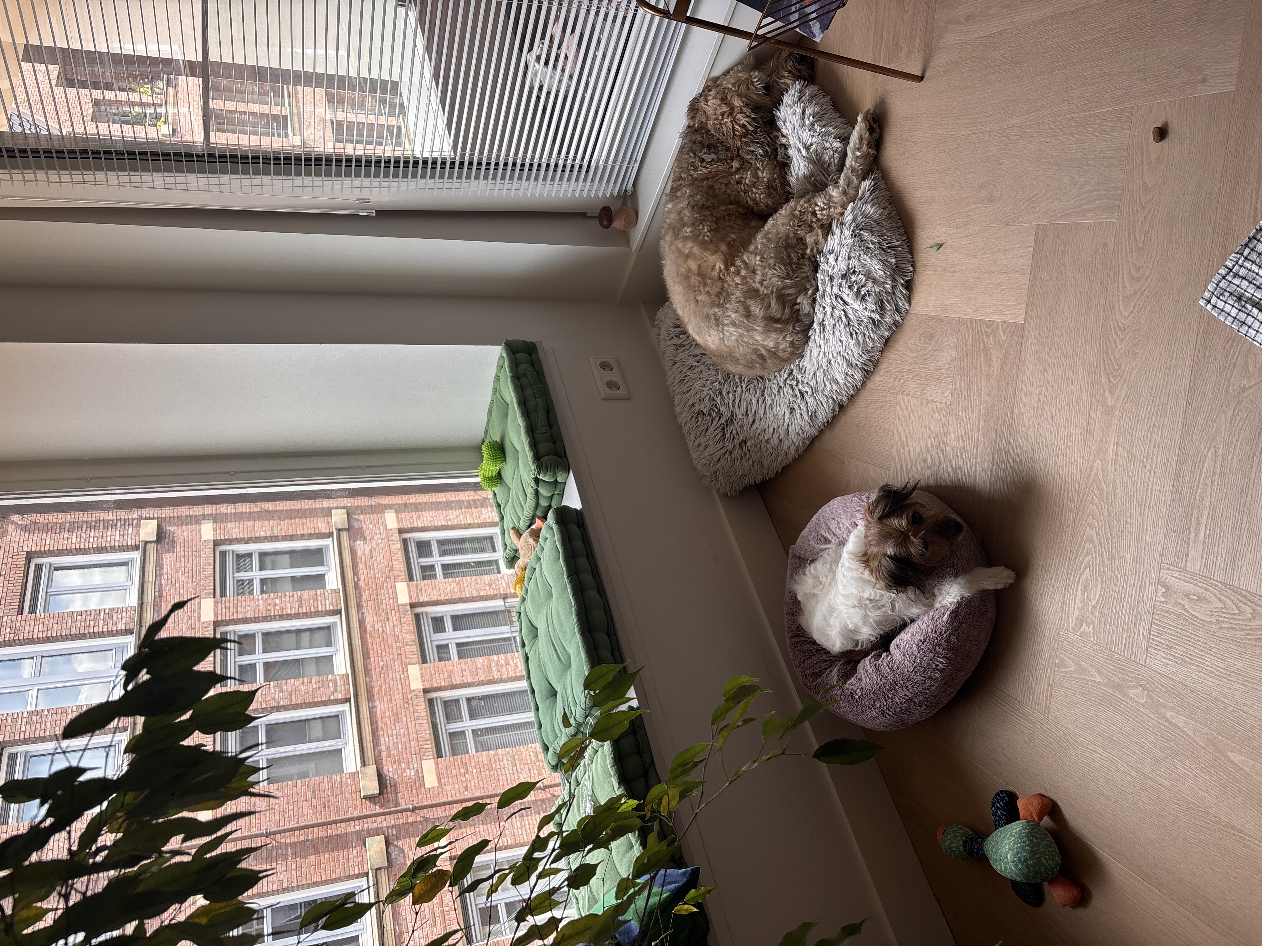 image-18