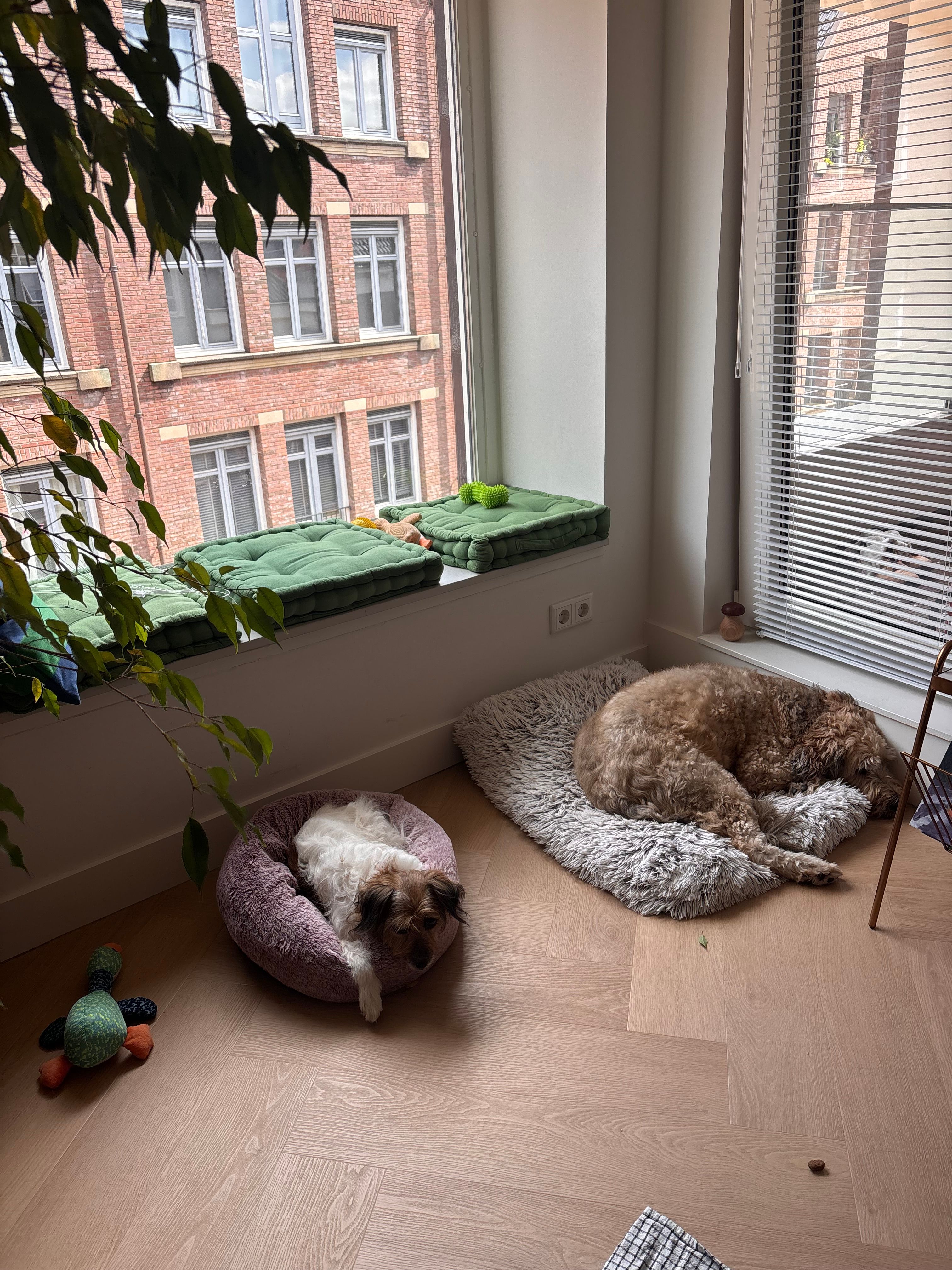 image-18