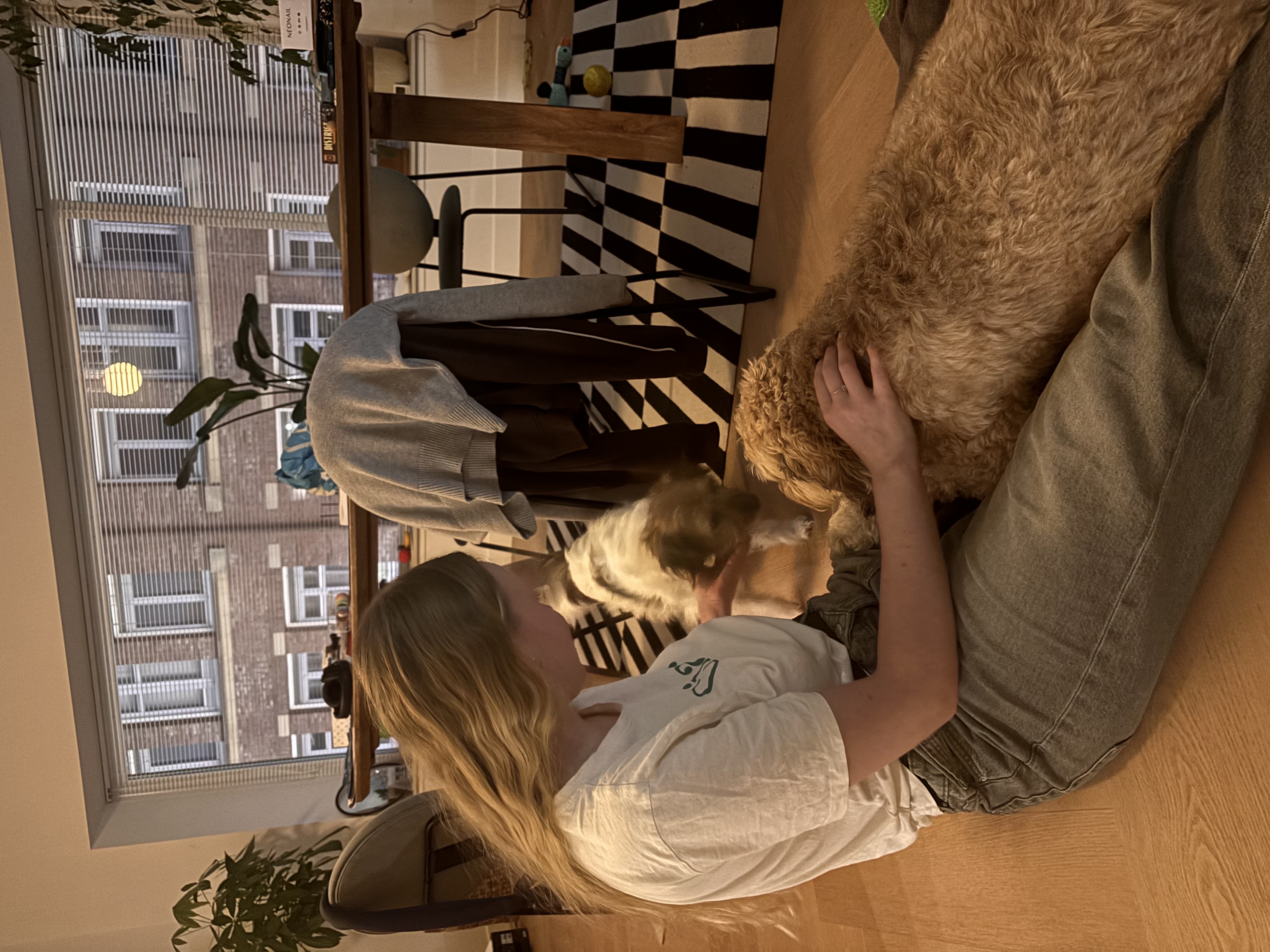 image-11