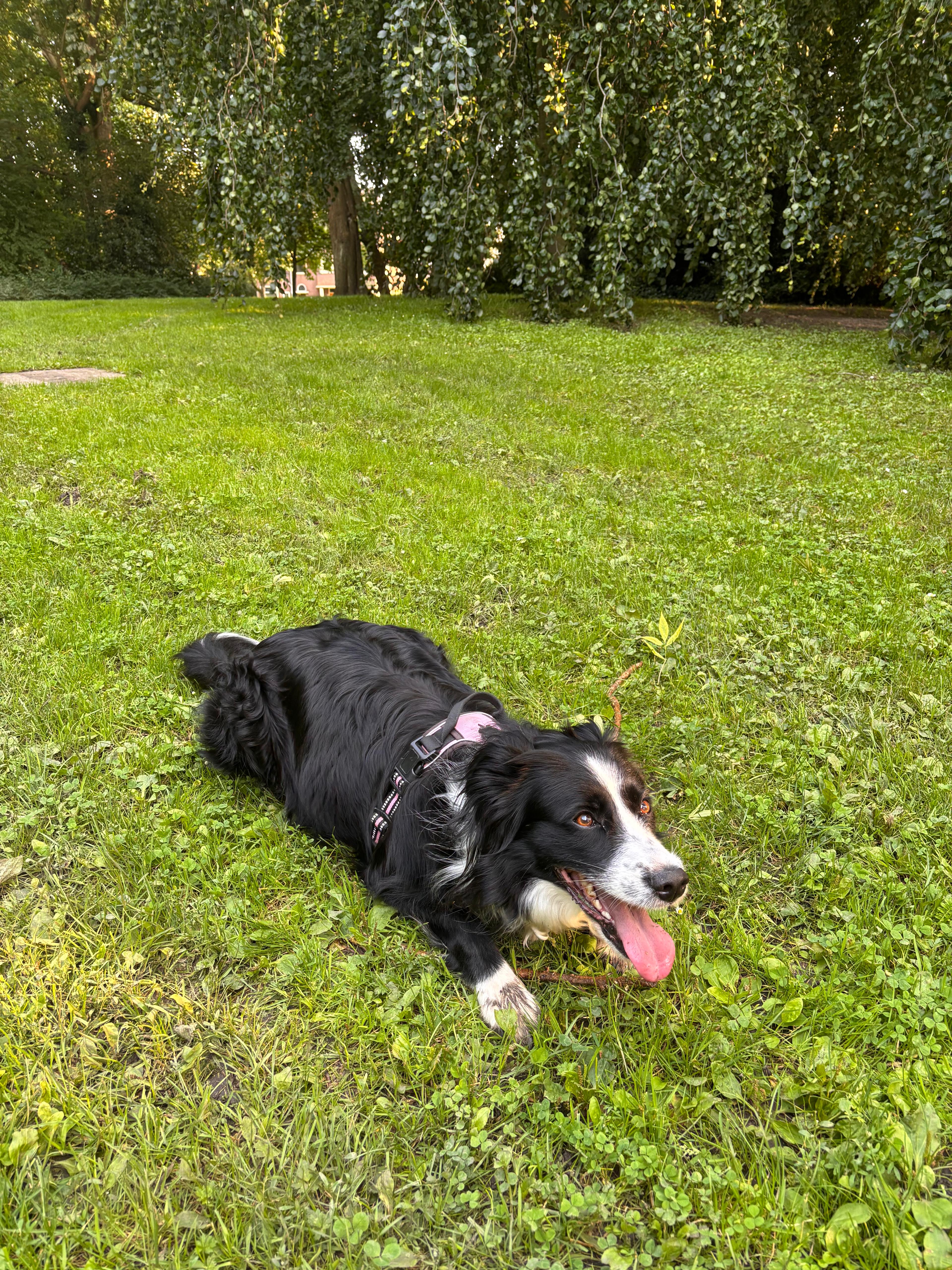 image-12