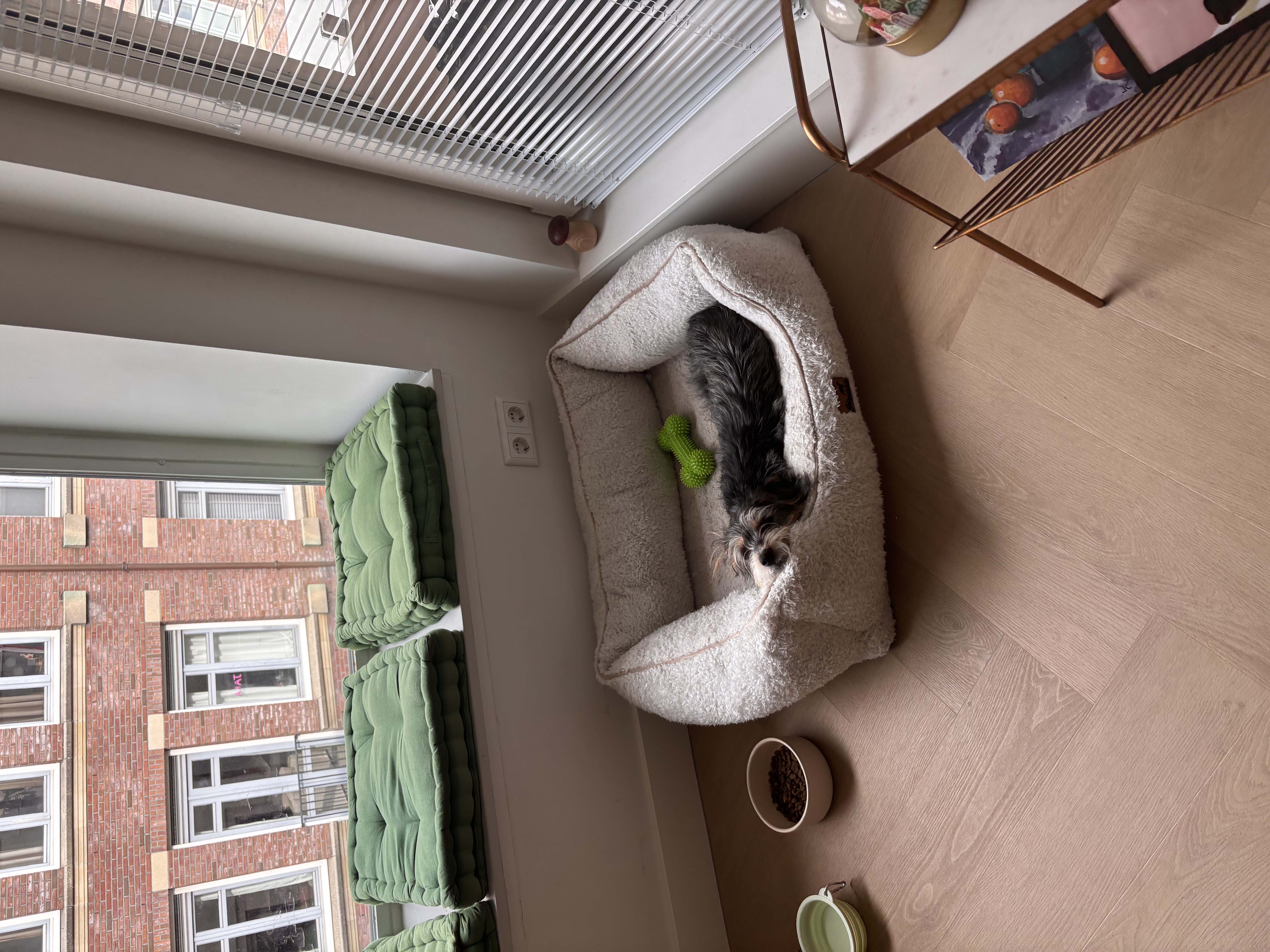 image-17